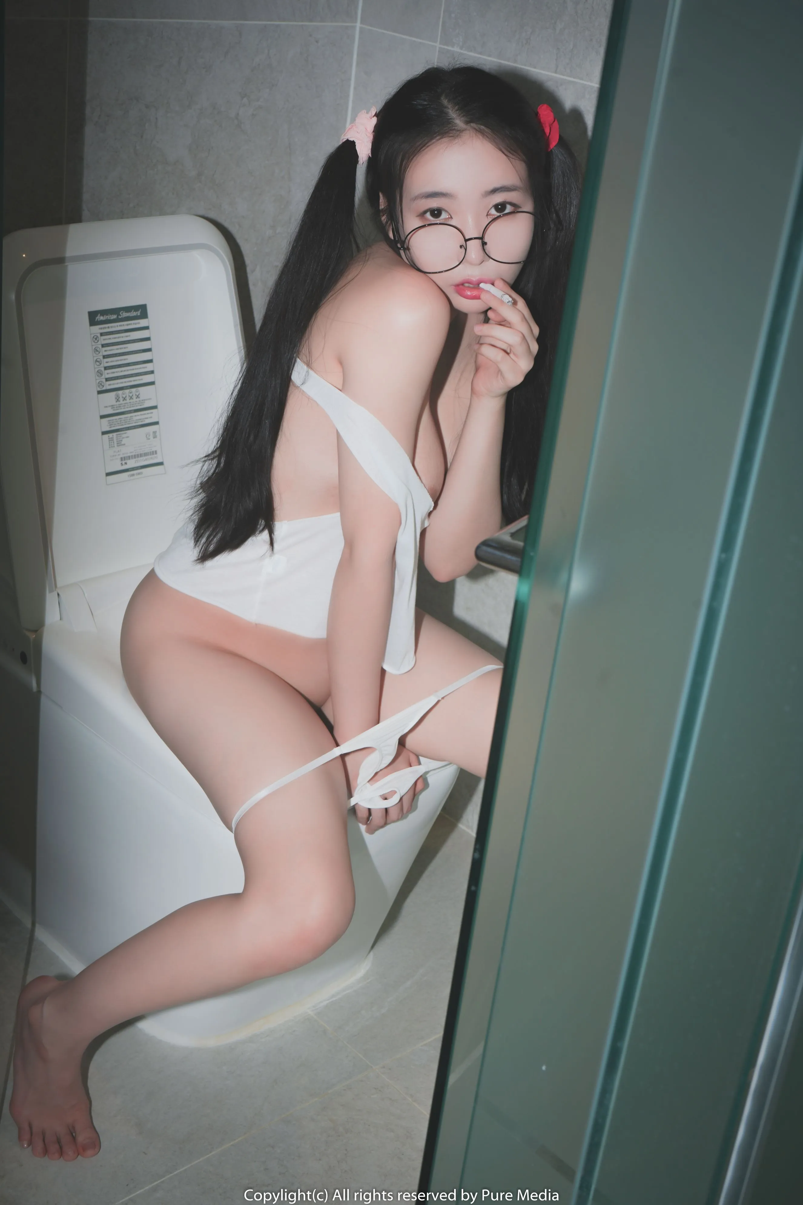 PureMediaHongSi??高分推荐