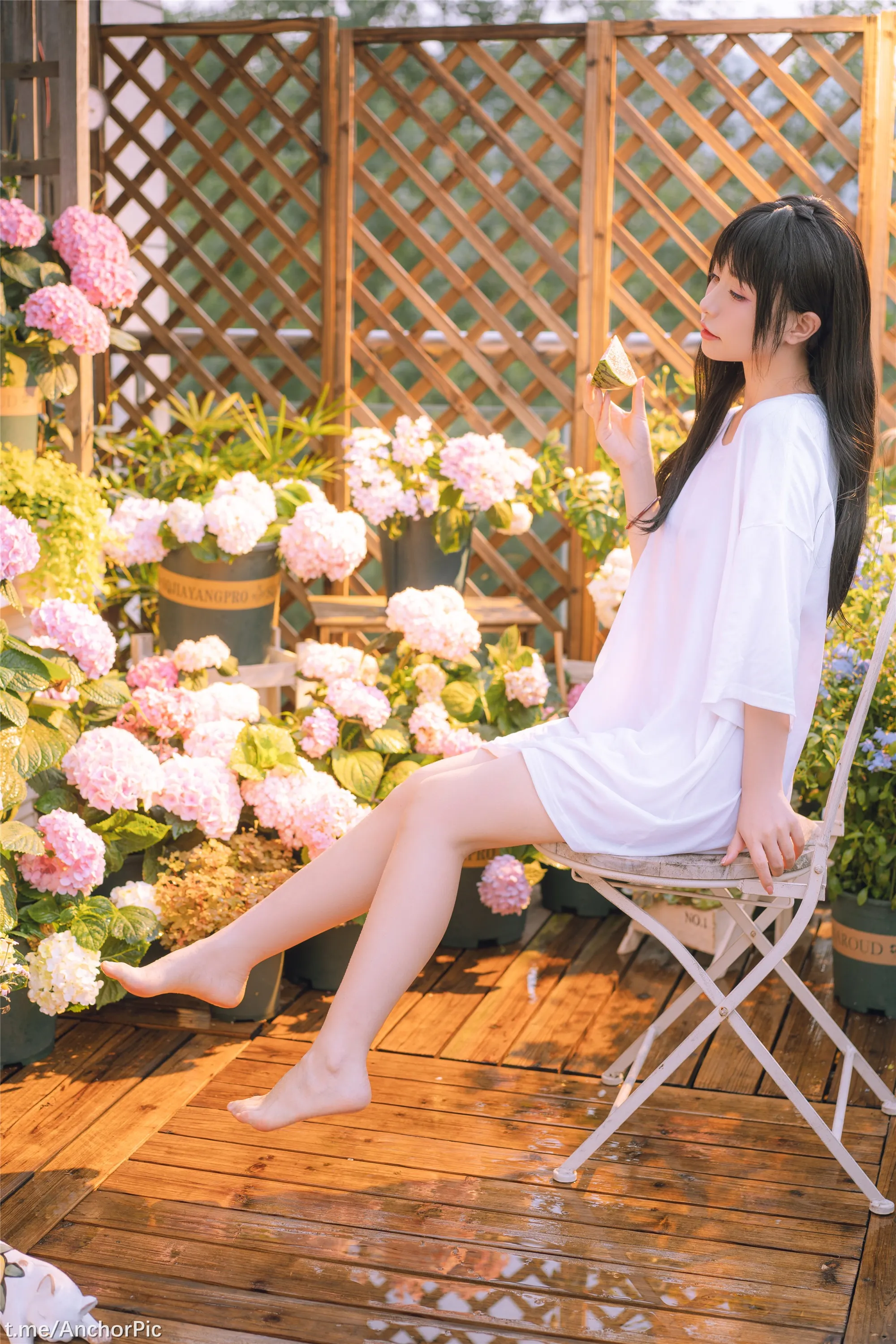 喵小吉午后时光76P0815精选