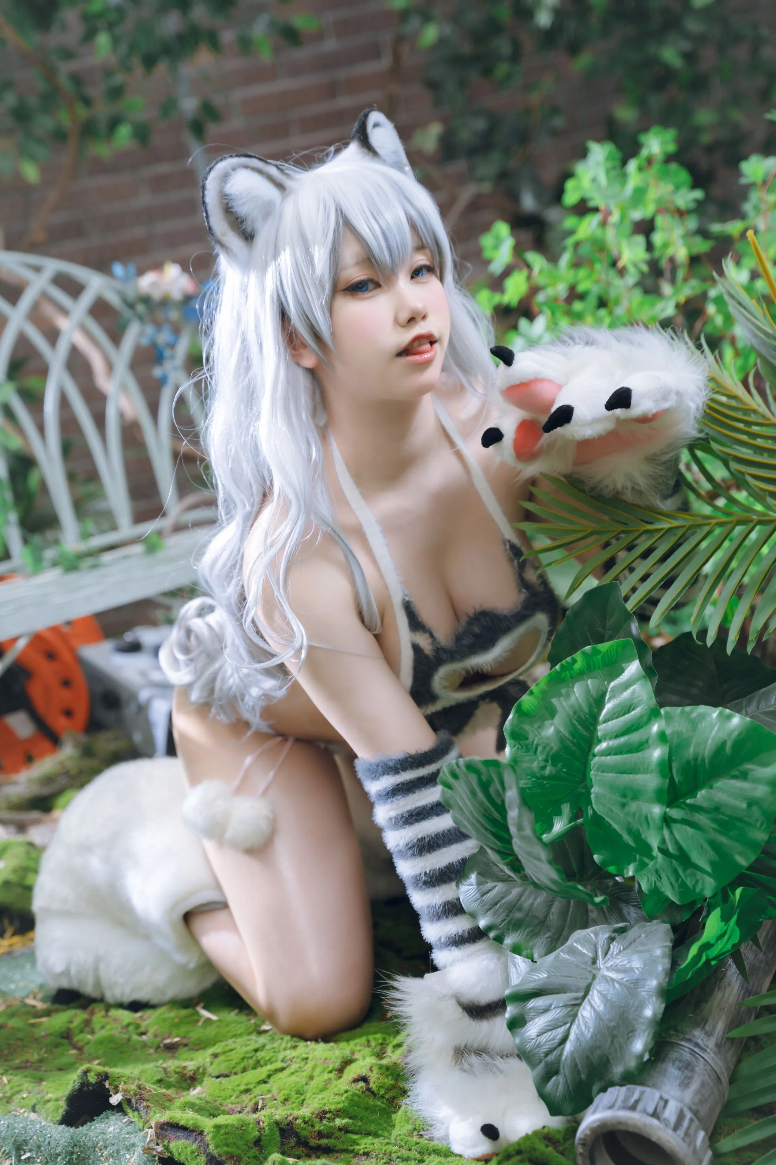 一北白虎兽娘福瑞11月21打赏群资源1121收藏必备