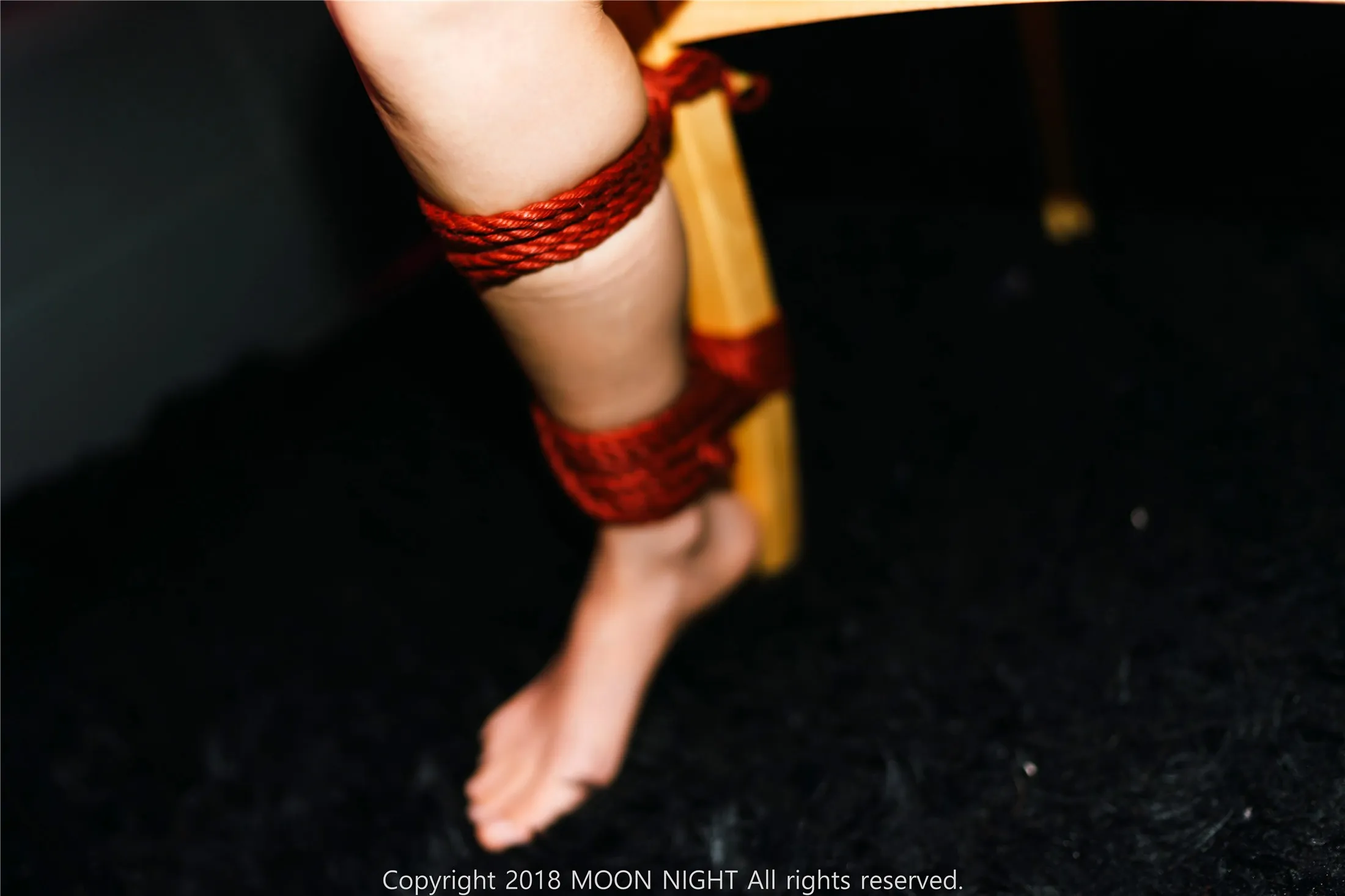 MoonNightSnapMonaSMClubArtBondagewithMaster87P0620全集