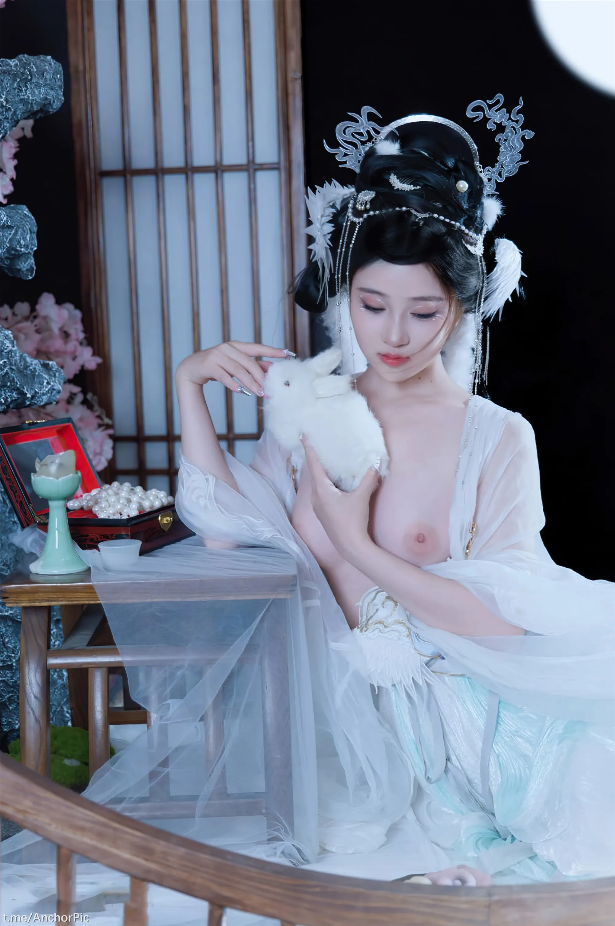 年年嫦娥仙子49P11214K图集