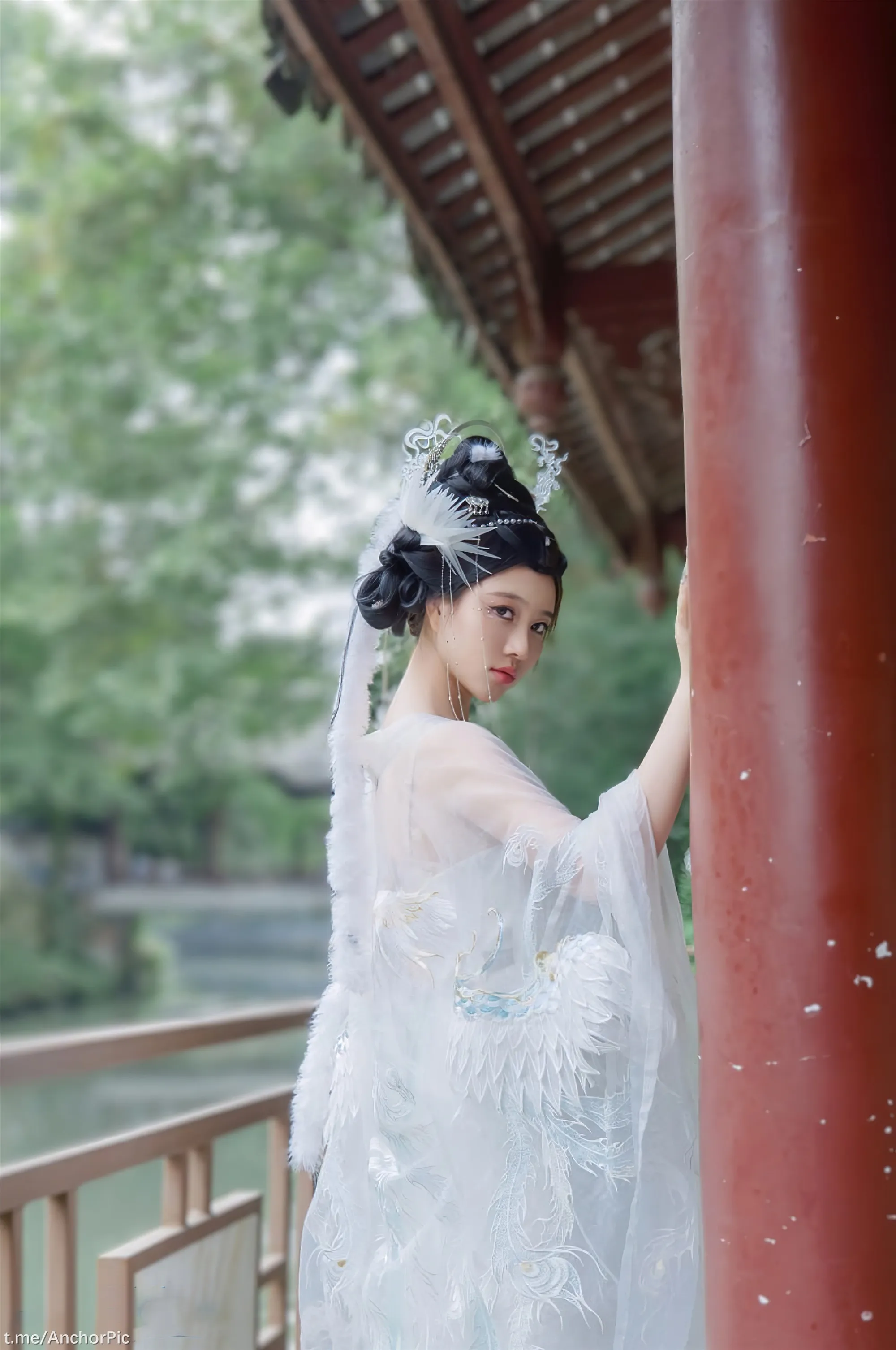 年年嫦娥仙子49P11214K图集