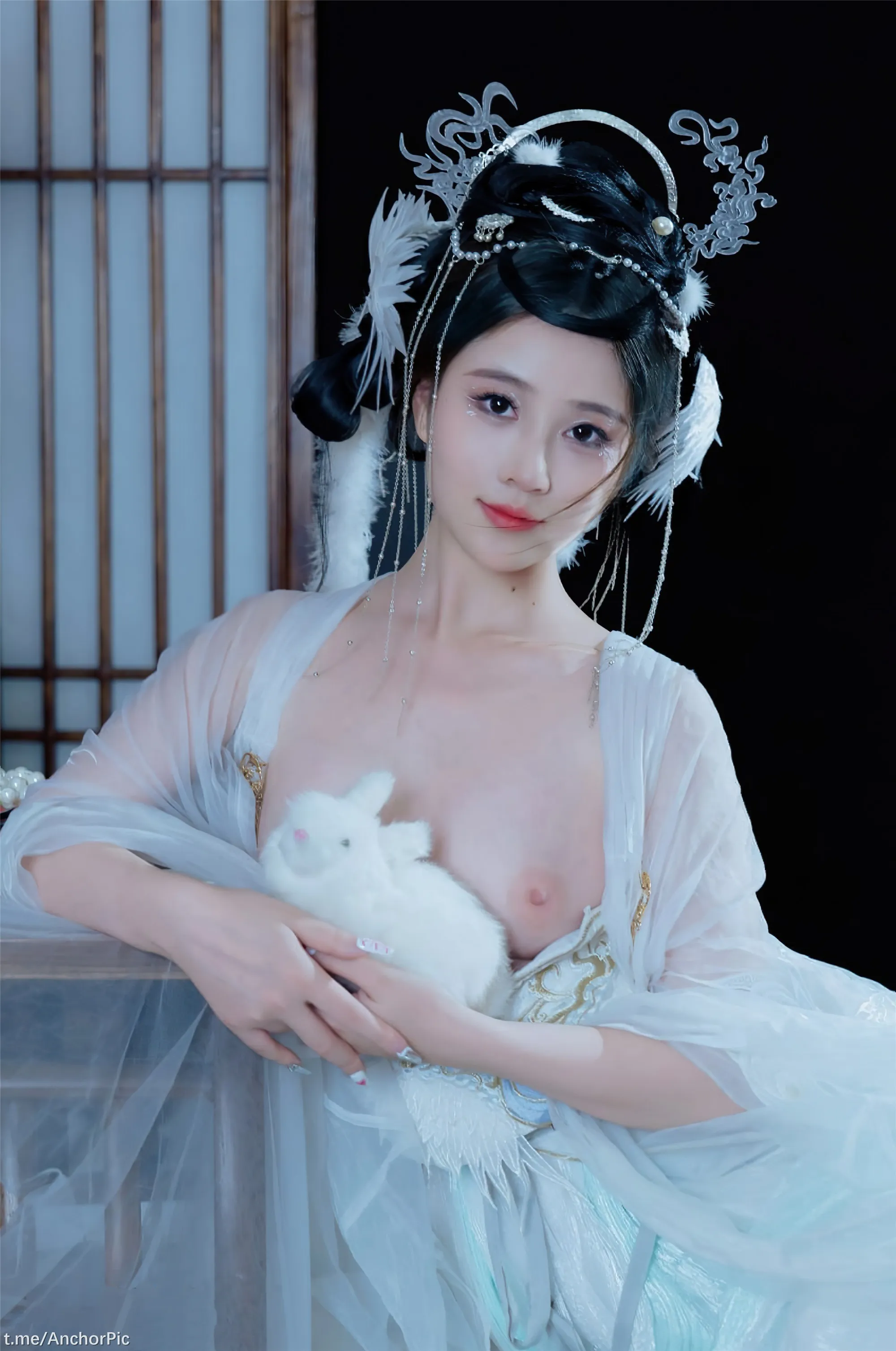 年年嫦娥仙子49P11214K图集