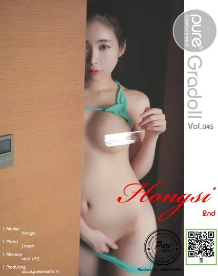 PureMediaHongSi??高分推荐