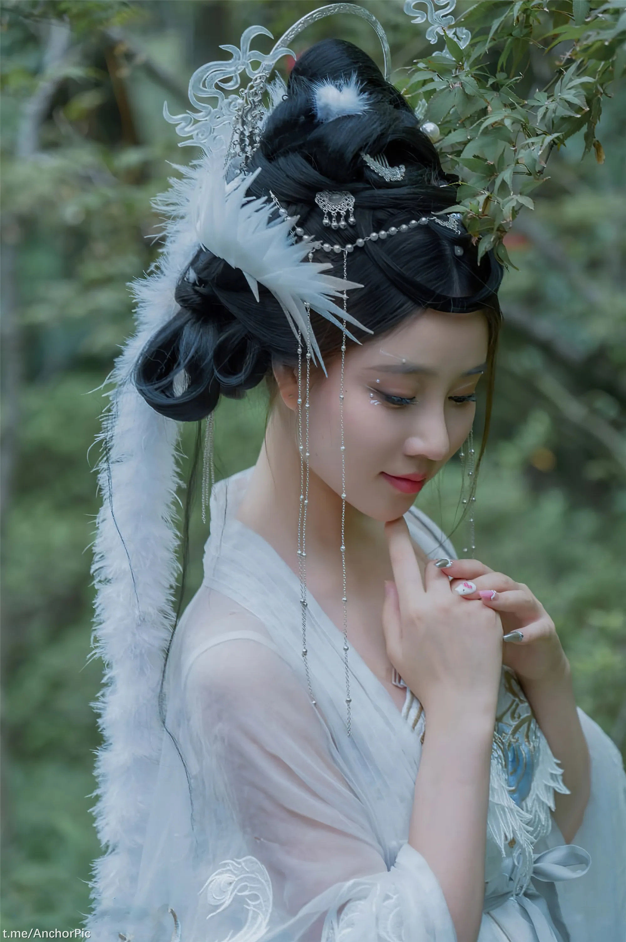 年年嫦娥仙子49P11214K图集