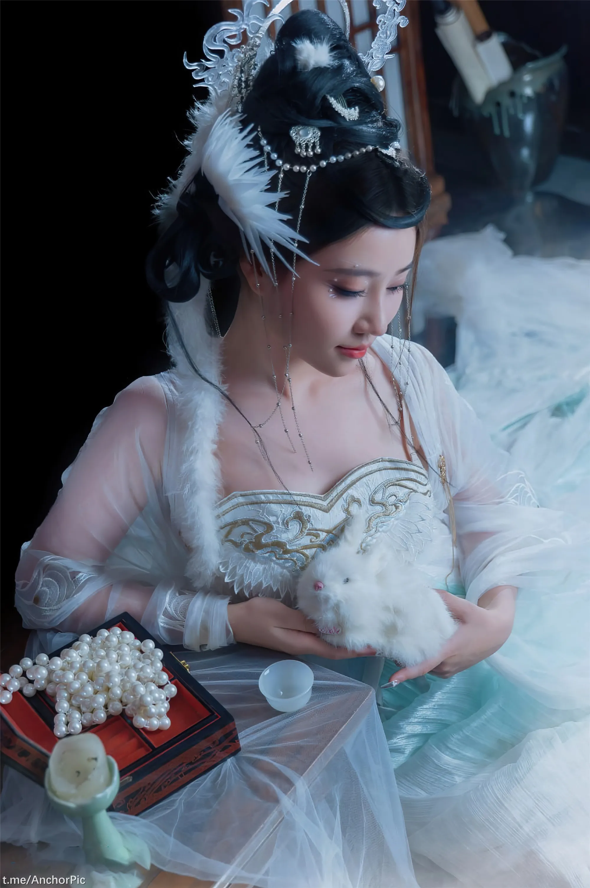 年年嫦娥仙子49P11214K图集