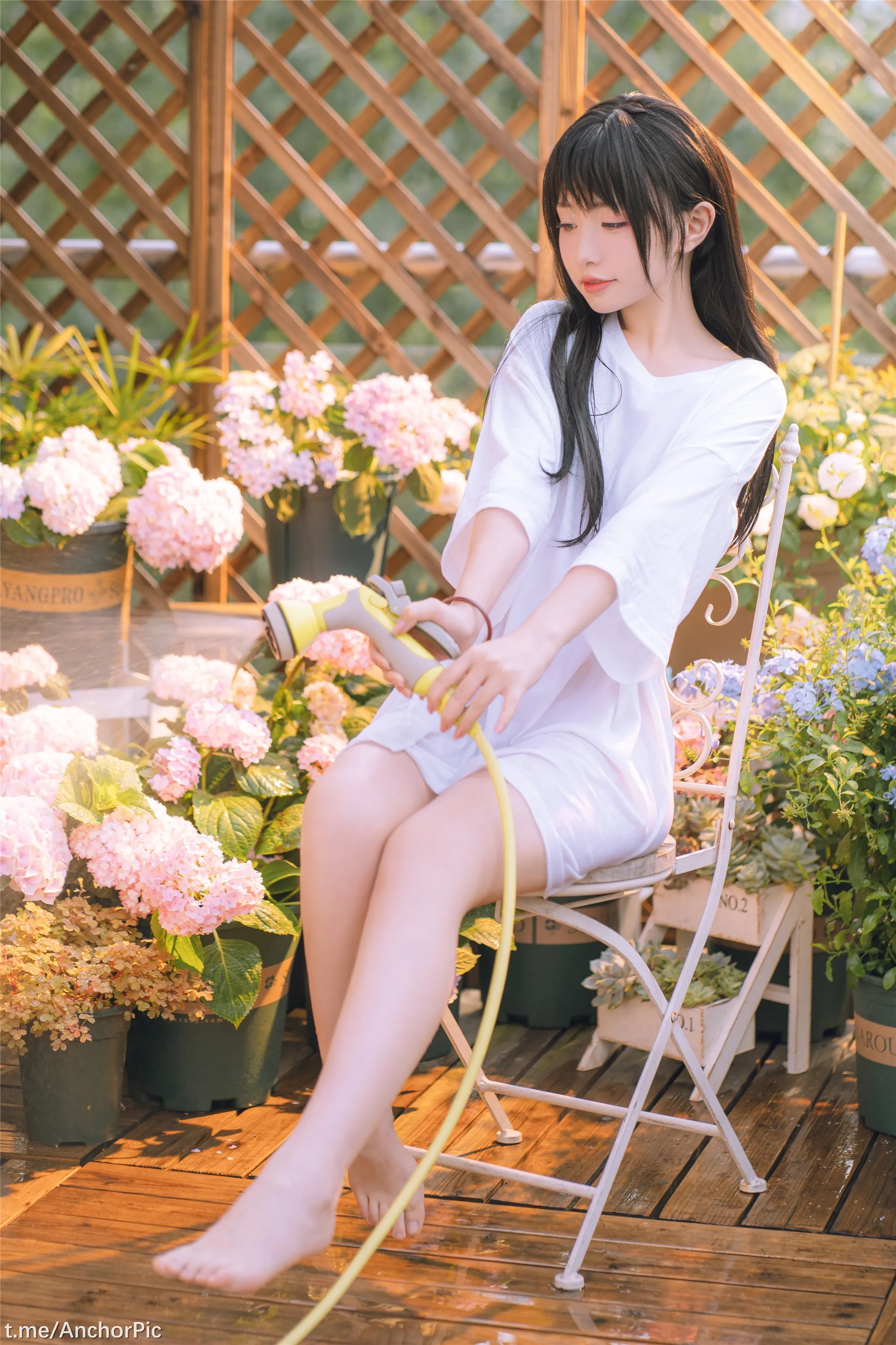 喵小吉午后时光76P0815精选