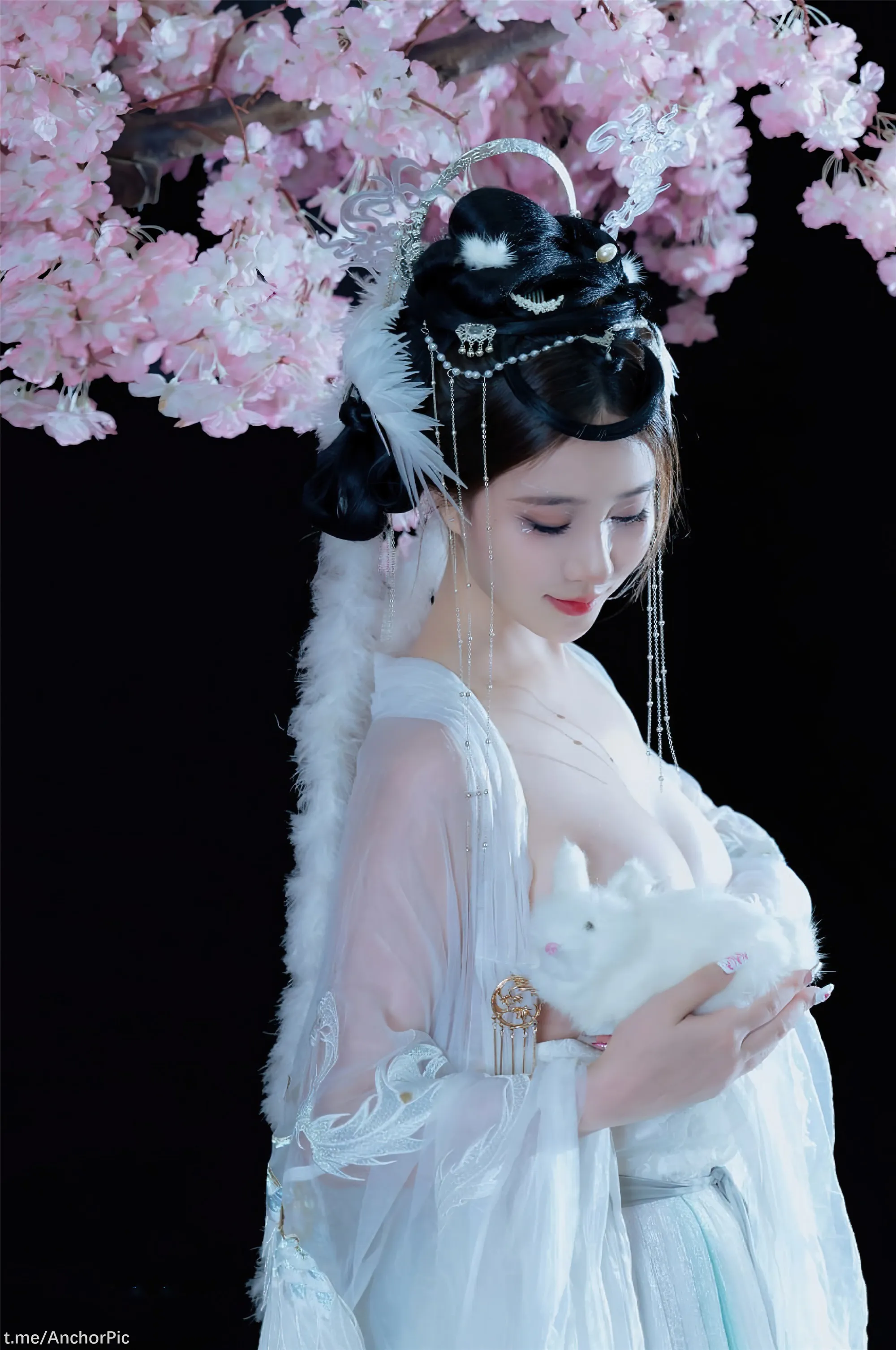 年年嫦娥仙子49P11214K图集