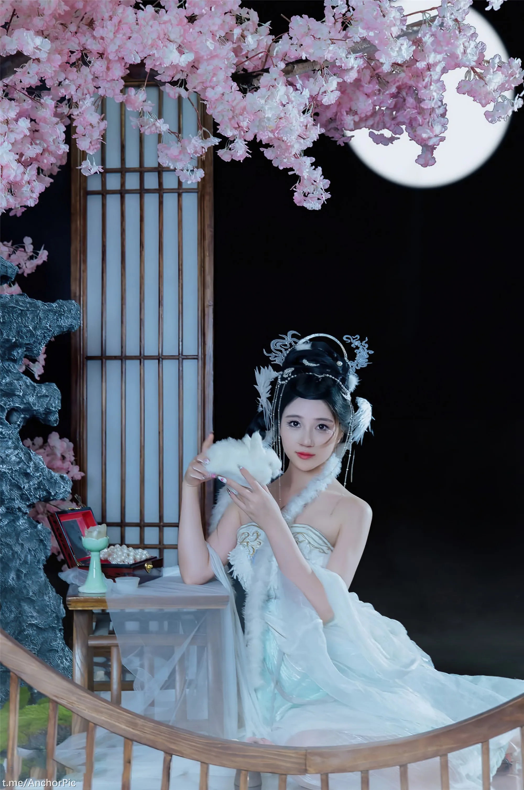 年年嫦娥仙子49P11214K图集