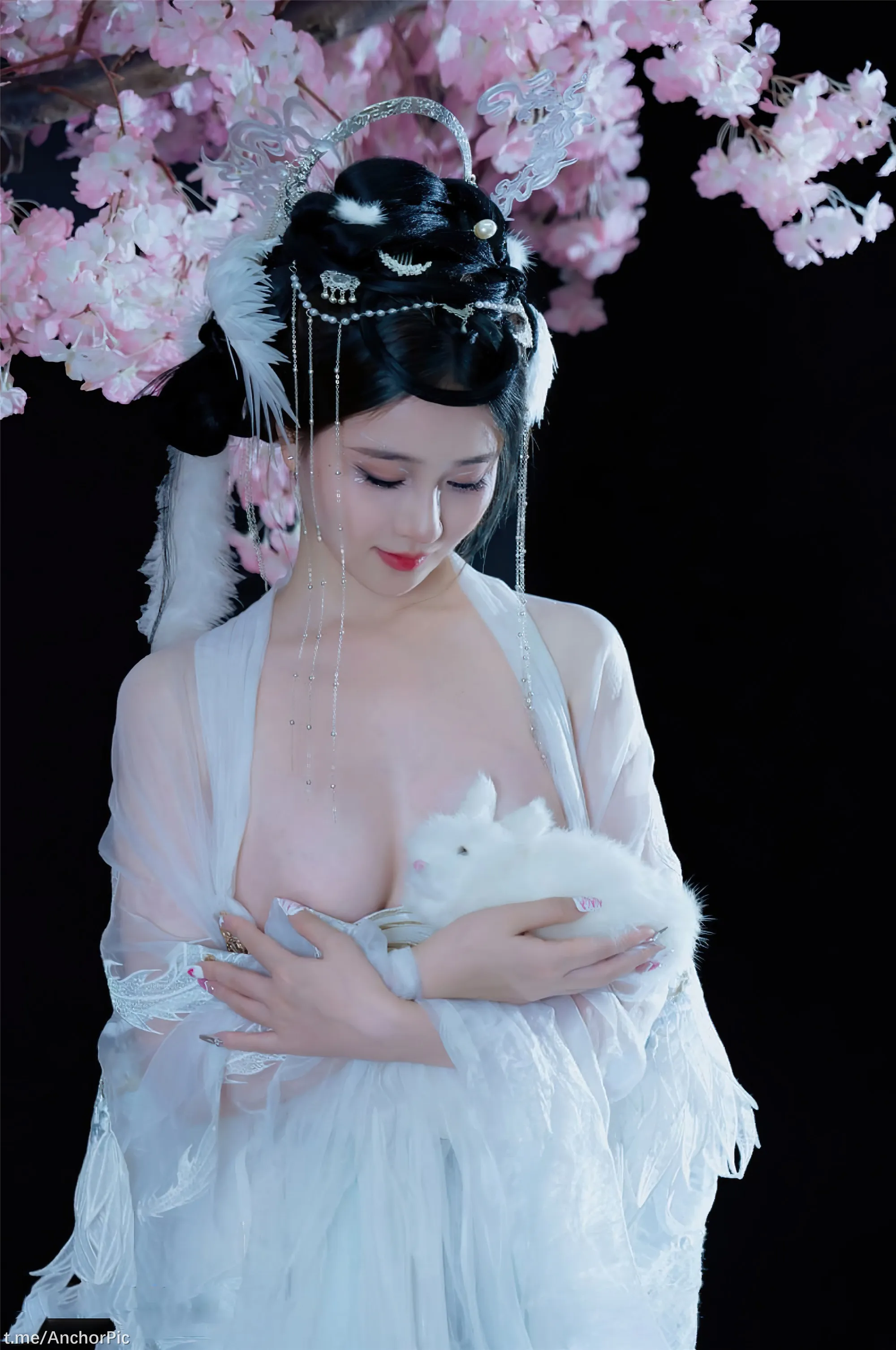 年年嫦娥仙子49P11214K图集