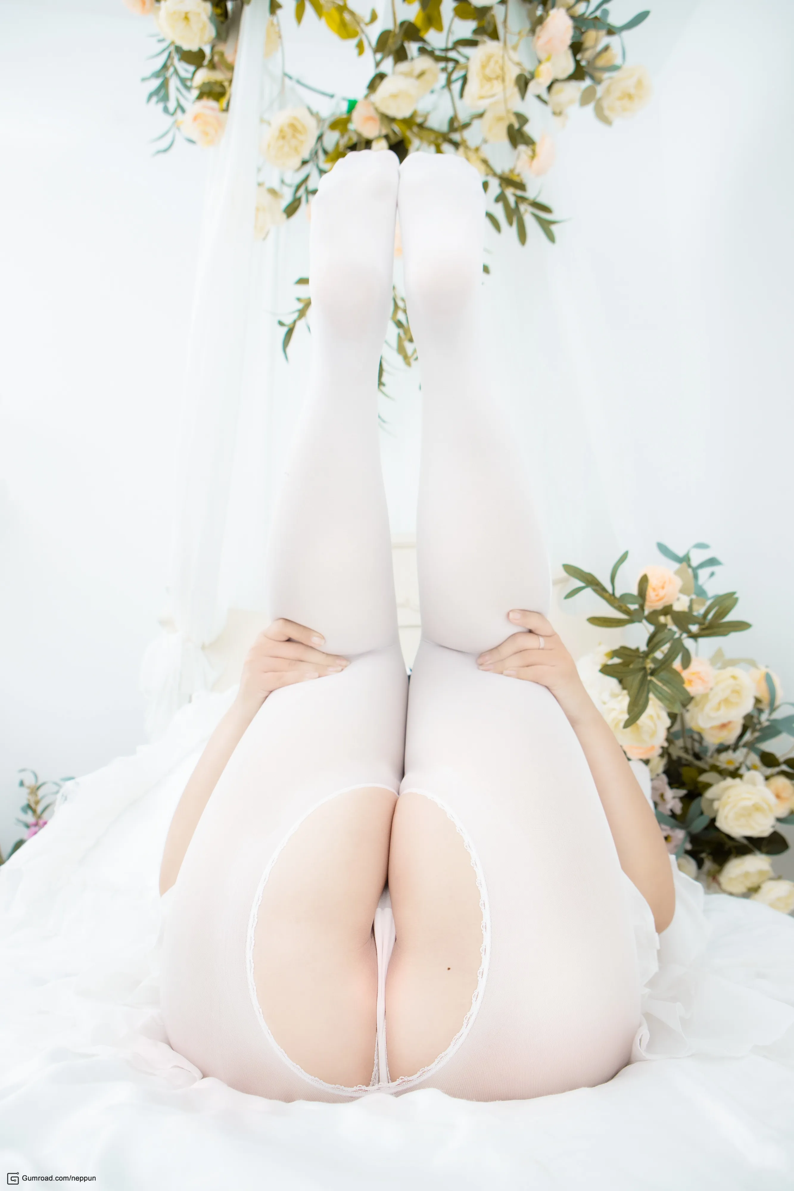 NeppuPackMaid人气写真