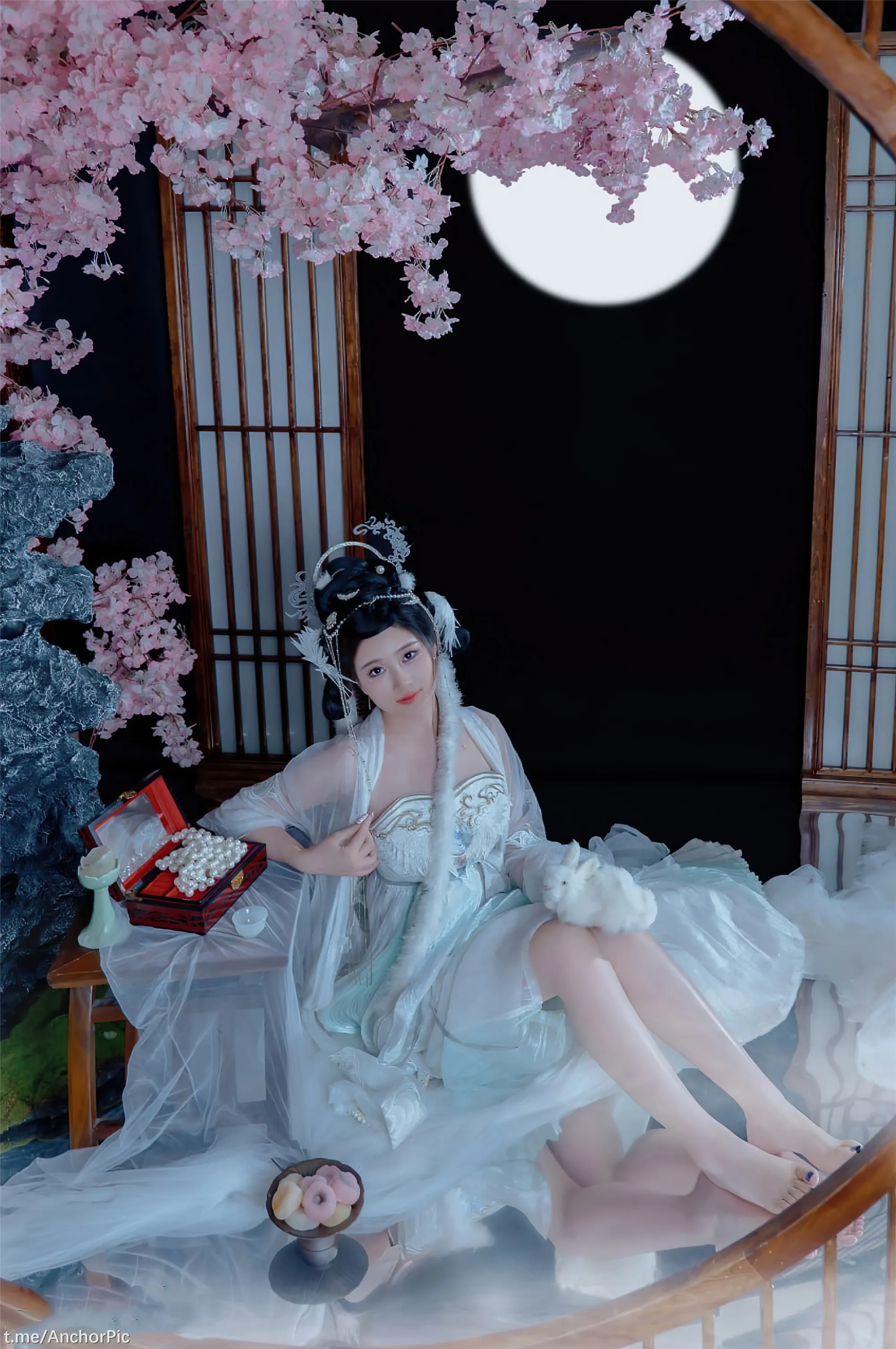 年年嫦娥仙子49P11214K图集