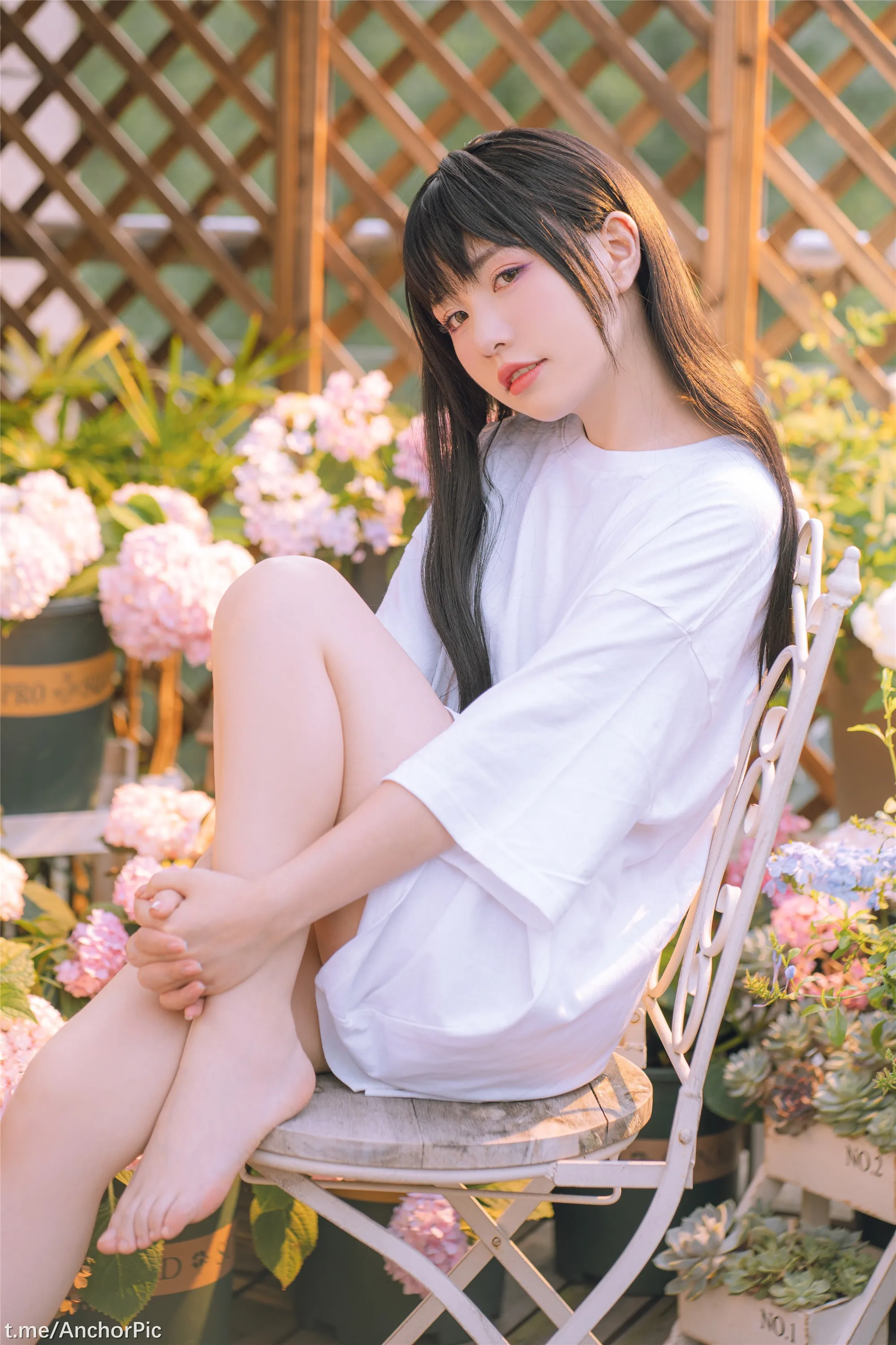 喵小吉午后时光76P0815精选