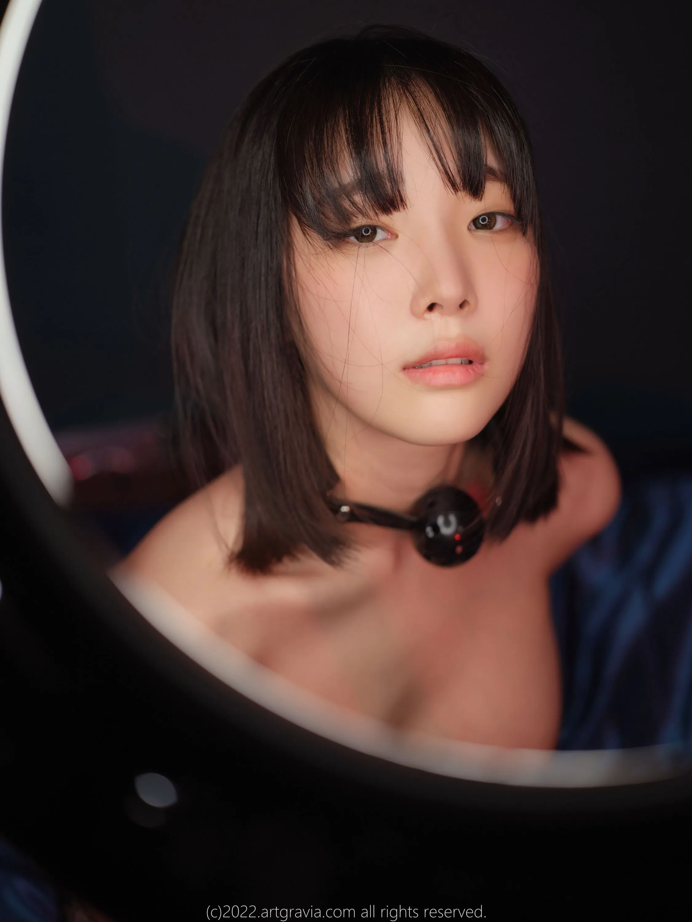 ARTGRAVIAVOL43494P219MB0823独家发布