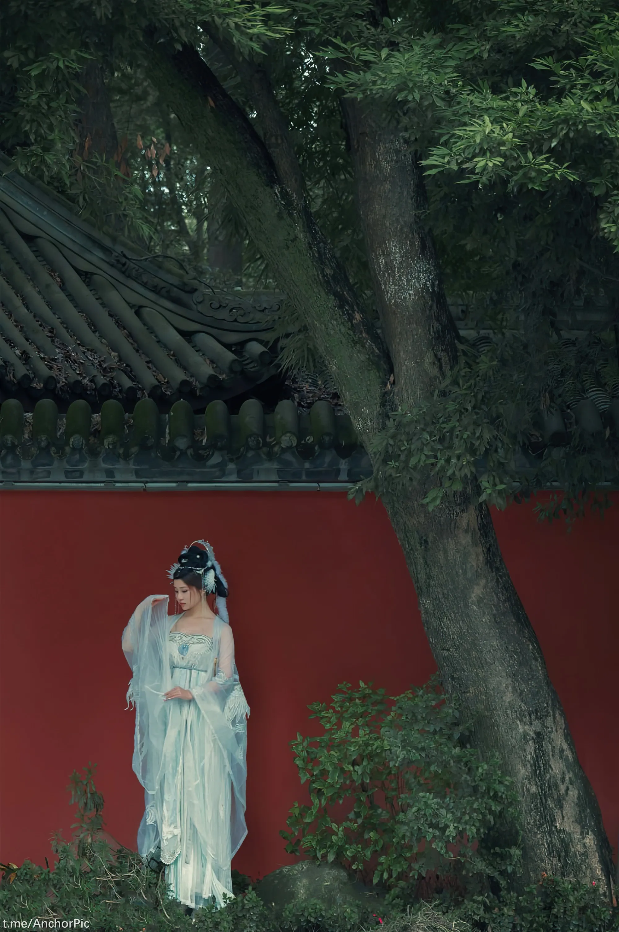 年年嫦娥仙子49P11214K图集