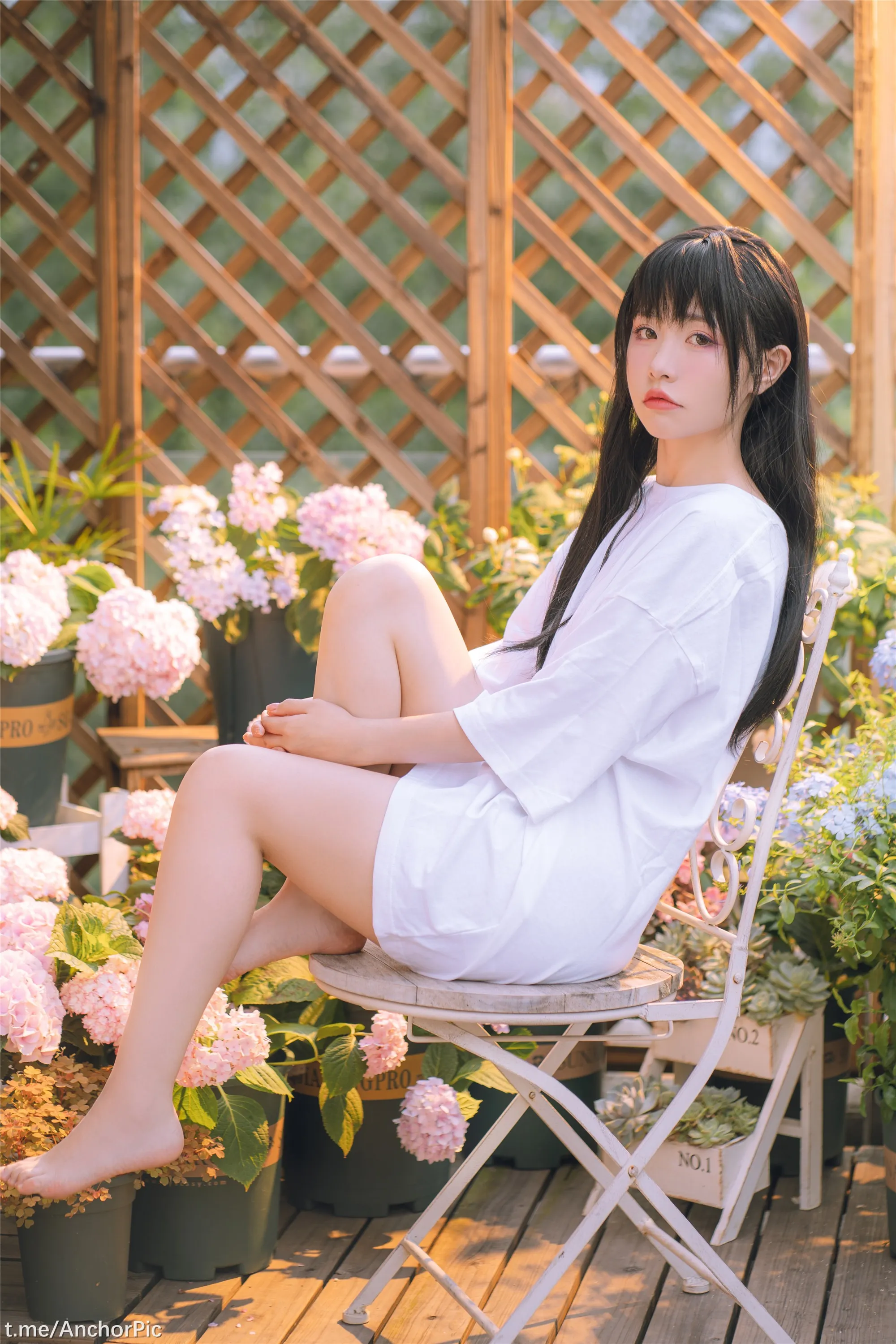 喵小吉午后时光76P0815精选