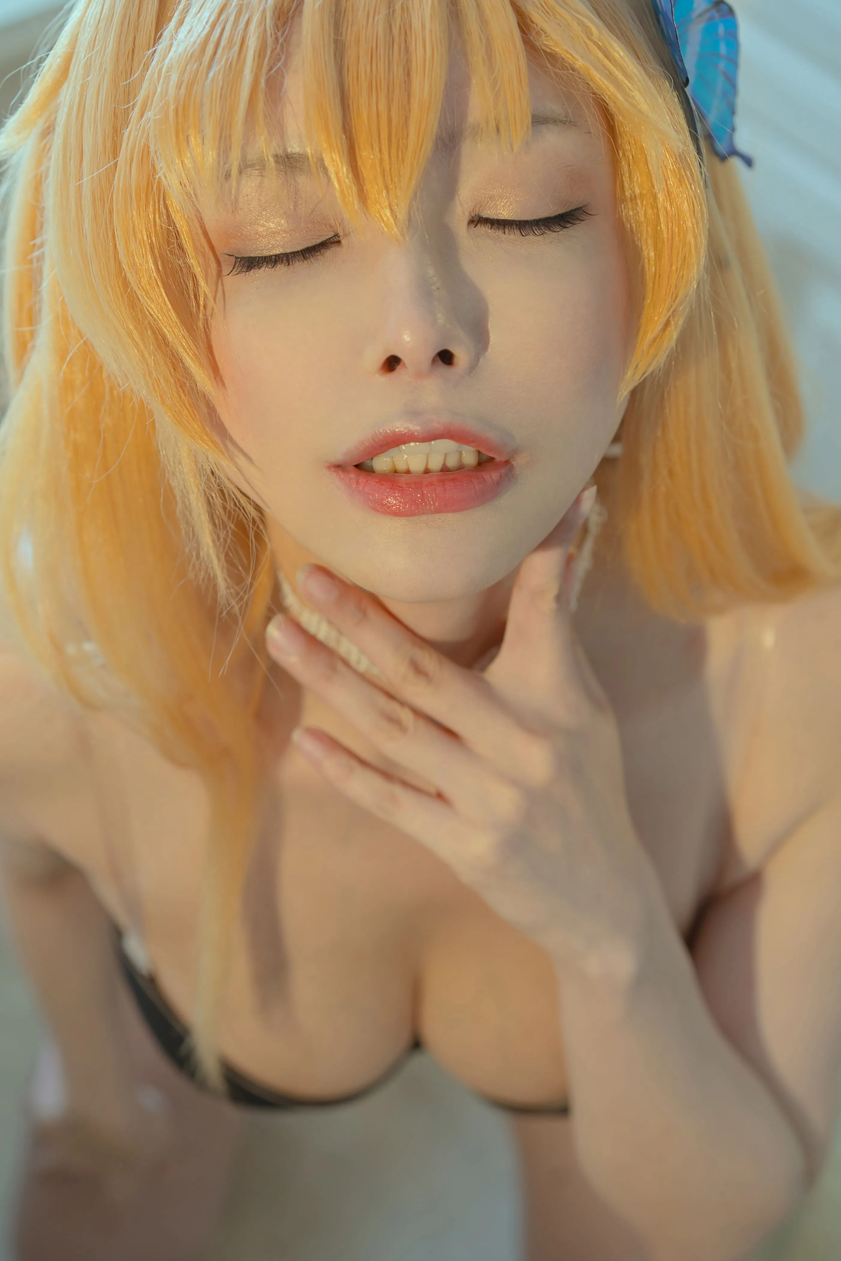 秋和柯基星奈2950P1V121GB0526必看合集