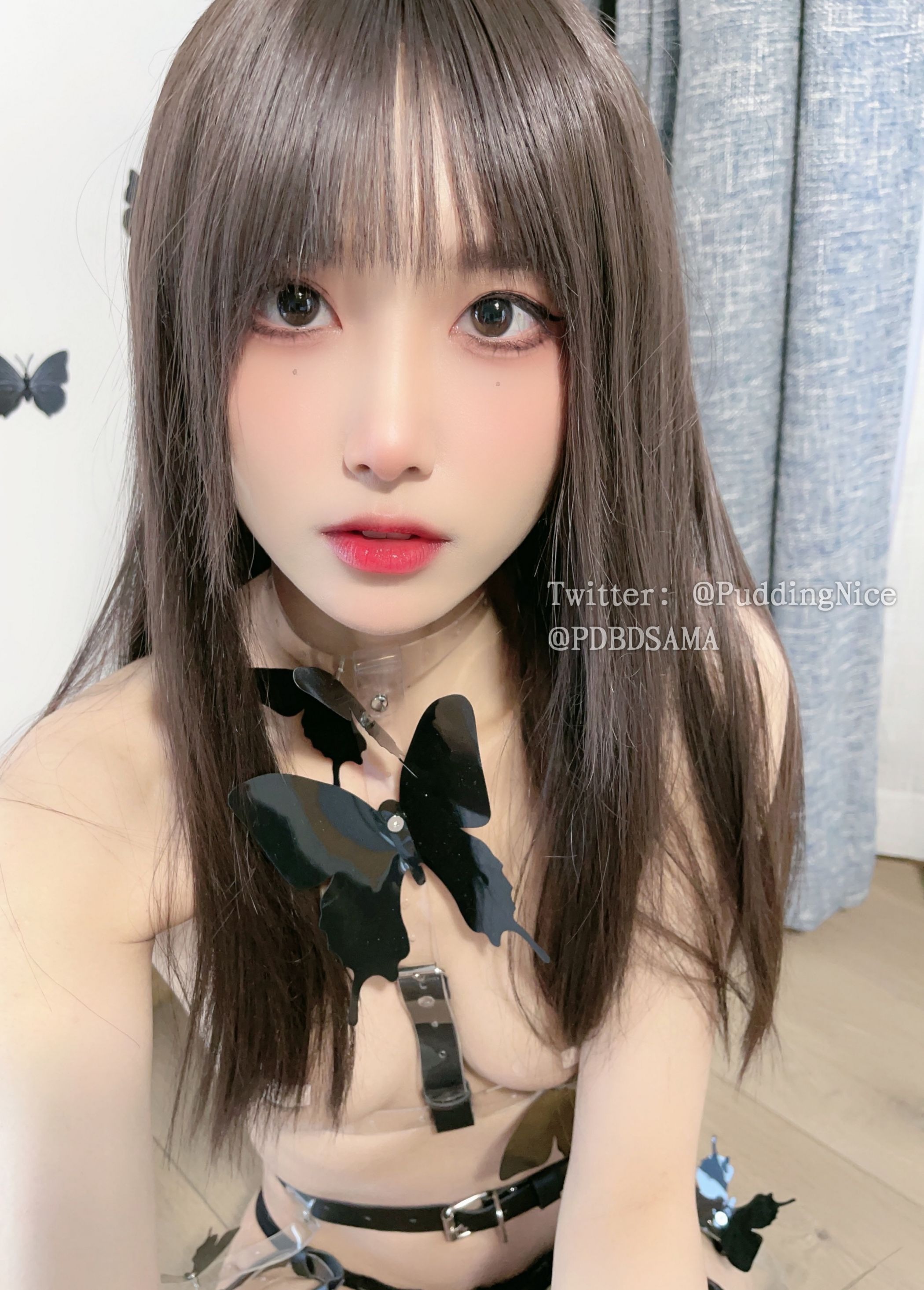 布丁冰美式1111必看合集