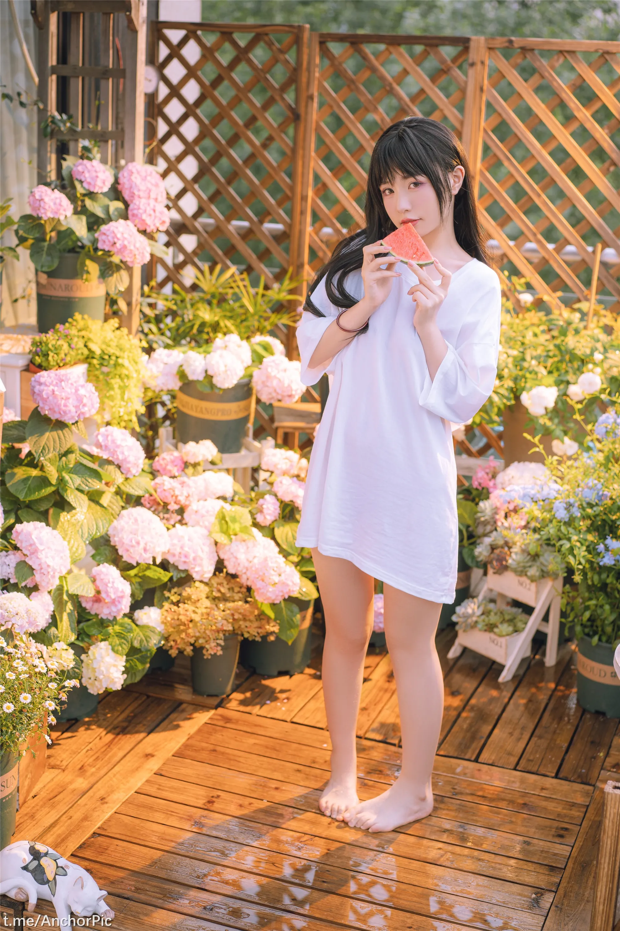 喵小吉午后时光76P0815精选