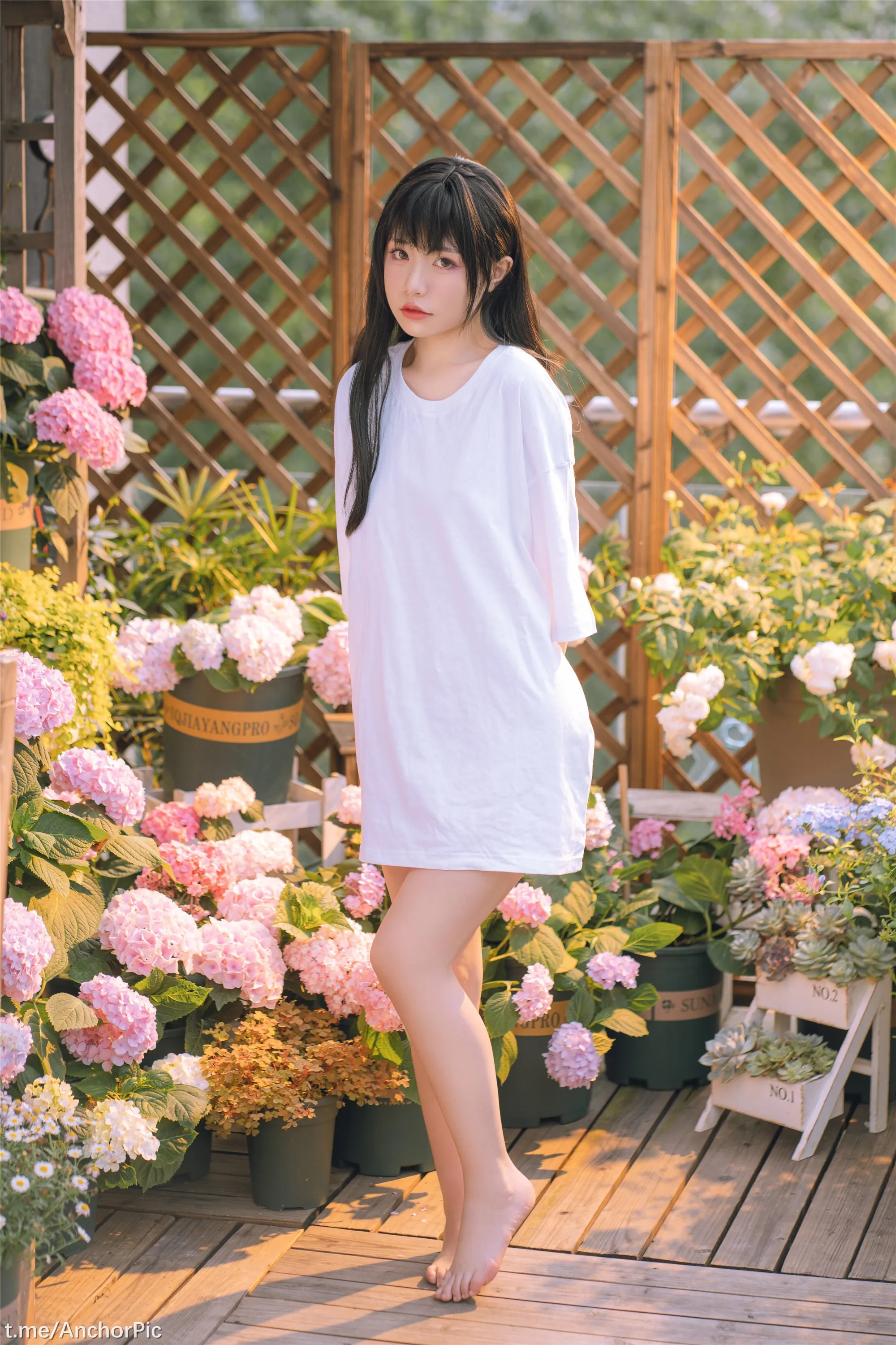 喵小吉午后时光76P0815精选