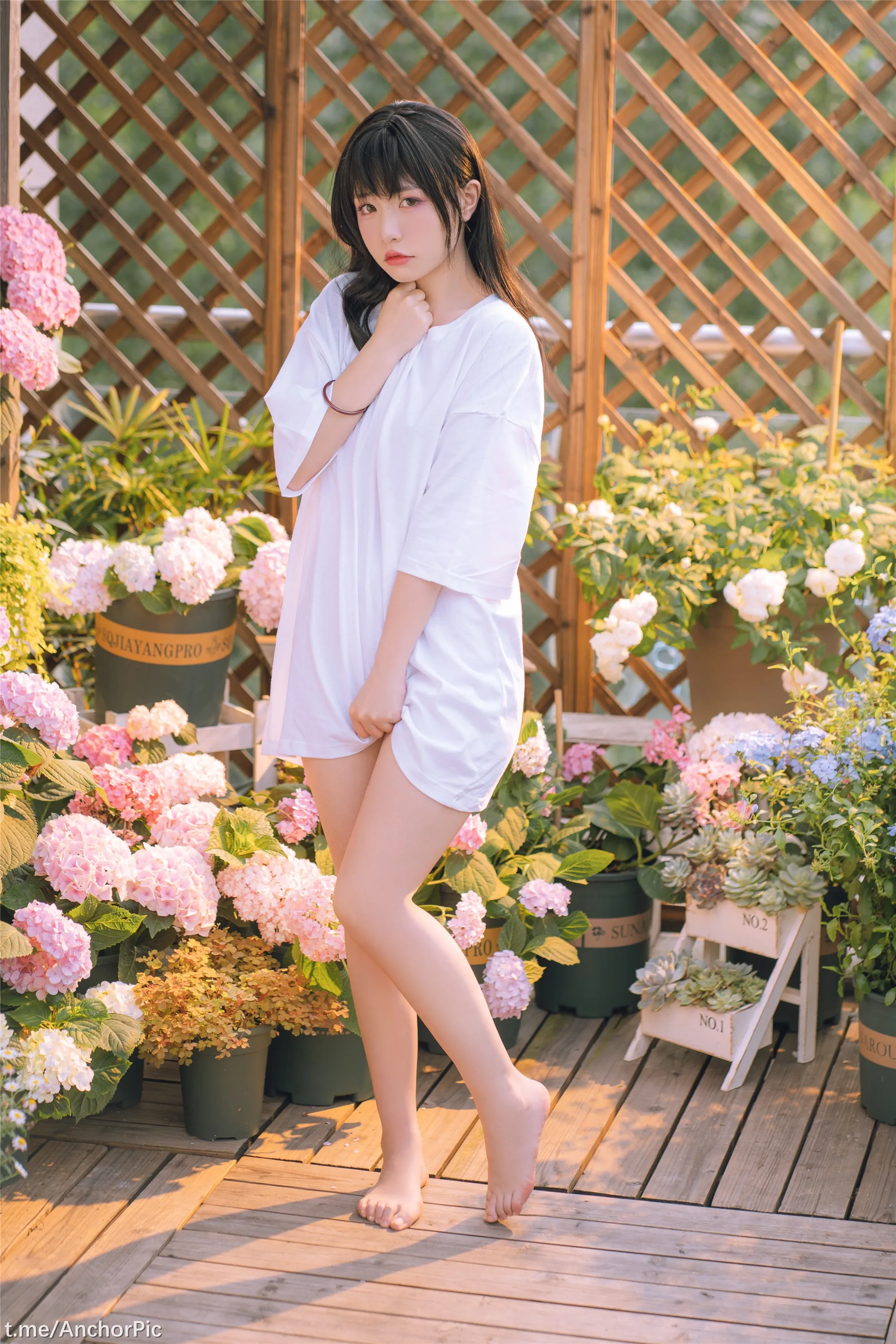 喵小吉午后时光76P0815精选