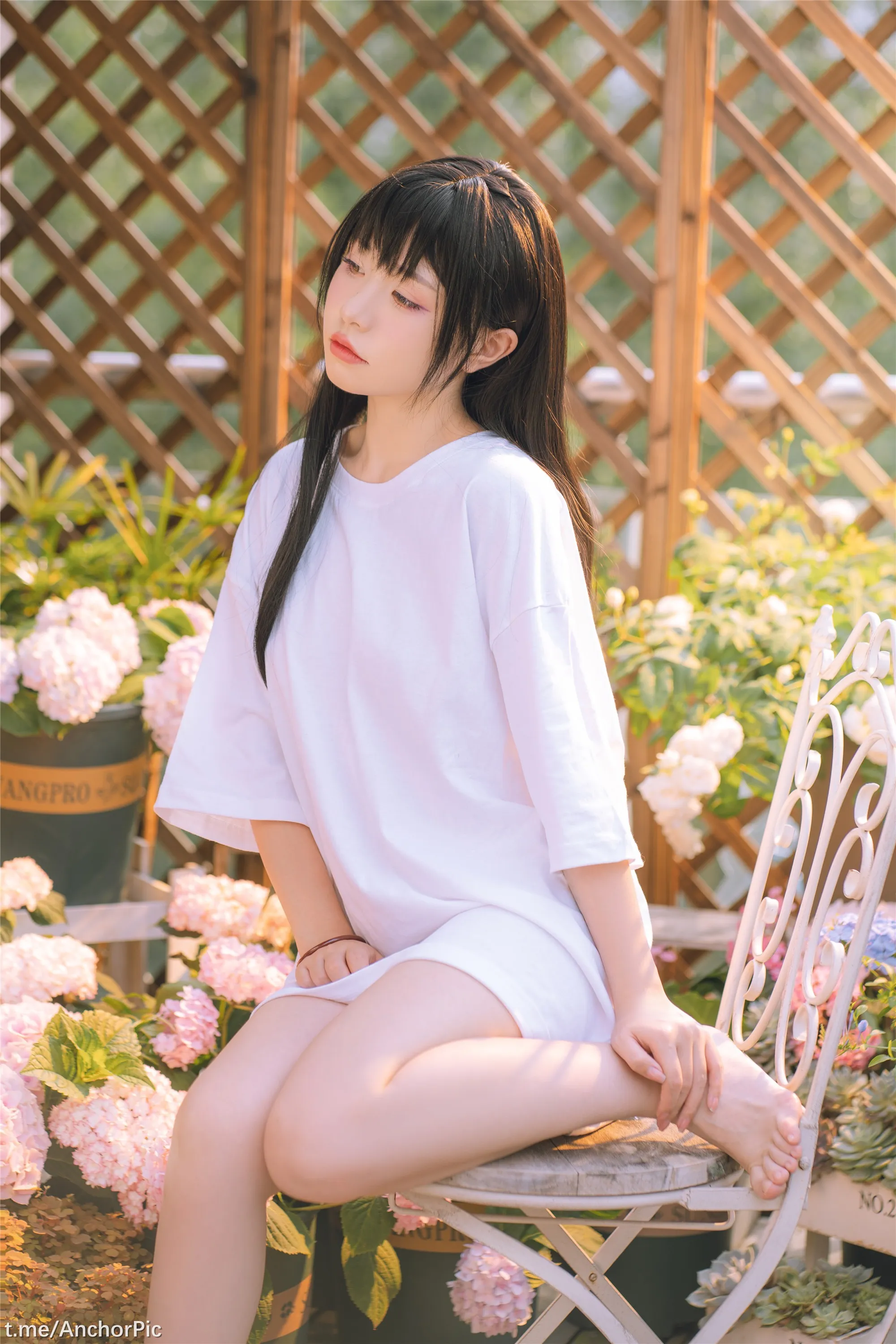 喵小吉午后时光76P0815精选