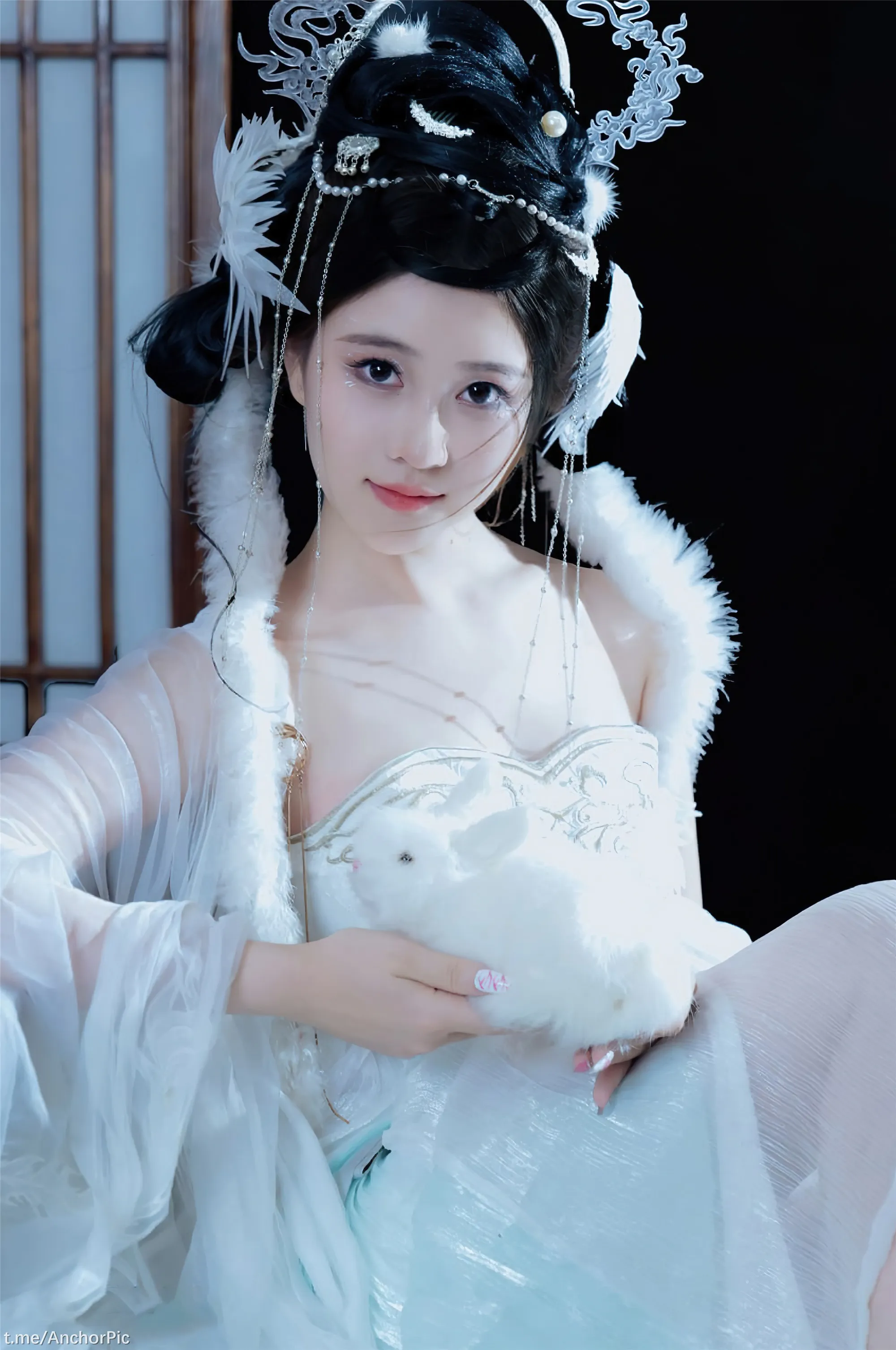 年年嫦娥仙子49P11214K图集