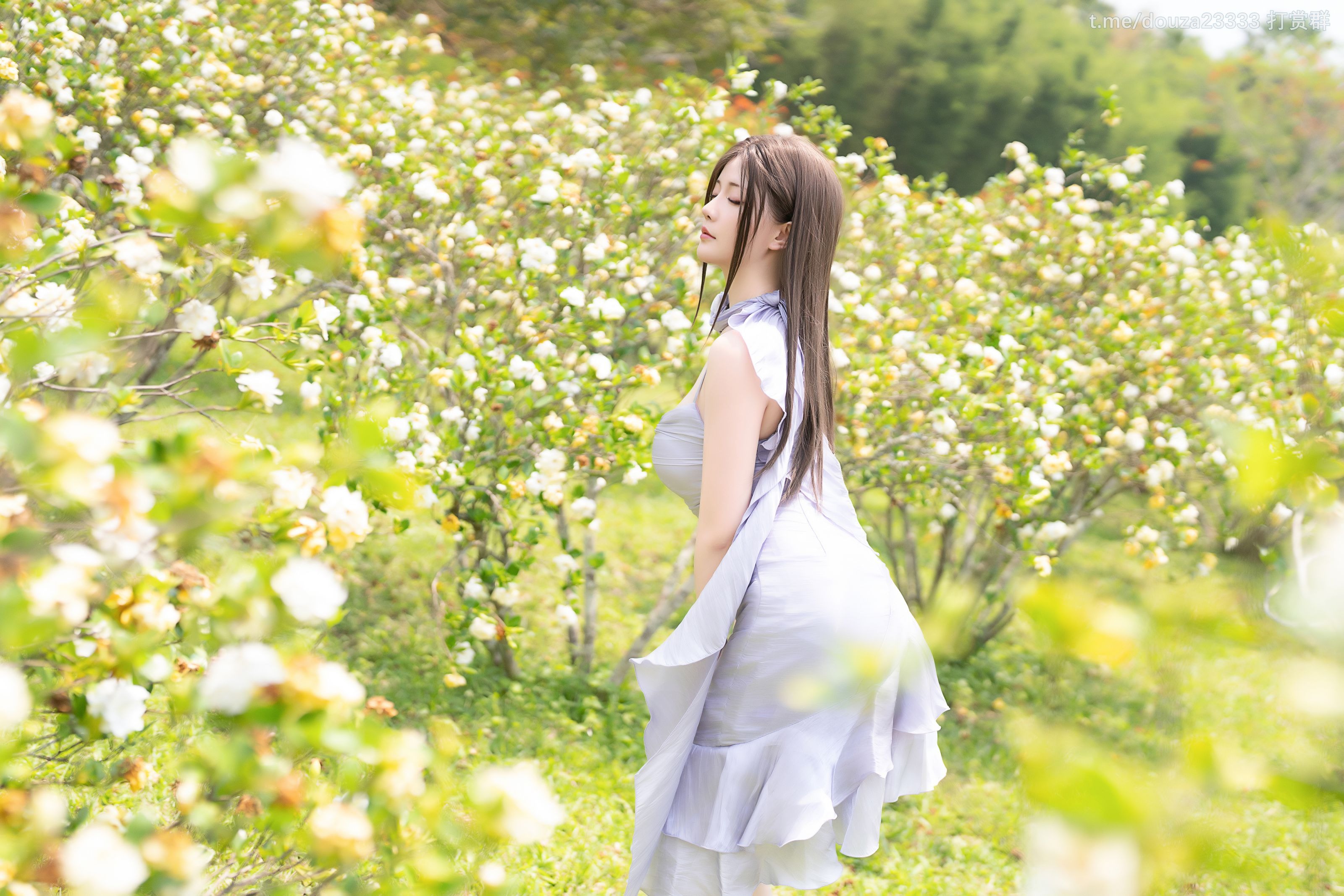 星之迟迟20244D15月25打赏群资源星之迟迟2024年4月D1套5月25日精华合集