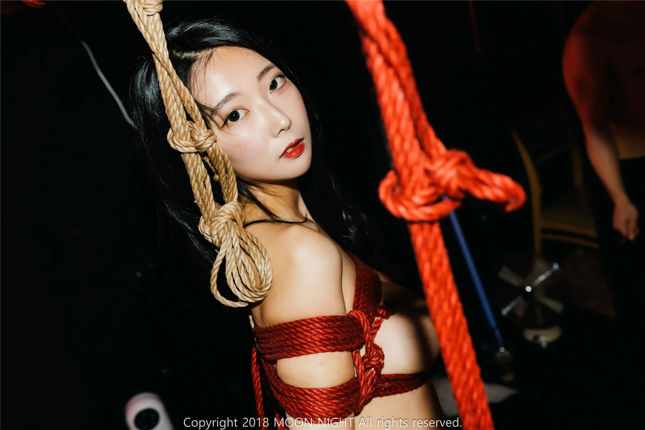 MoonNightSnapMonaSMClubArtBondagewithMaster87P0620全集