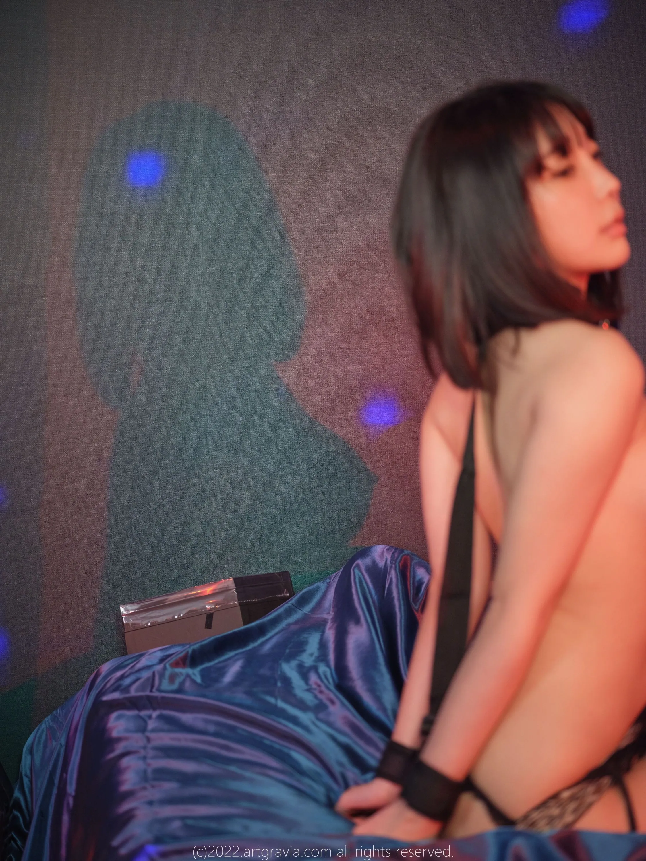 ARTGRAVIAVOL43494P219MB0823独家发布