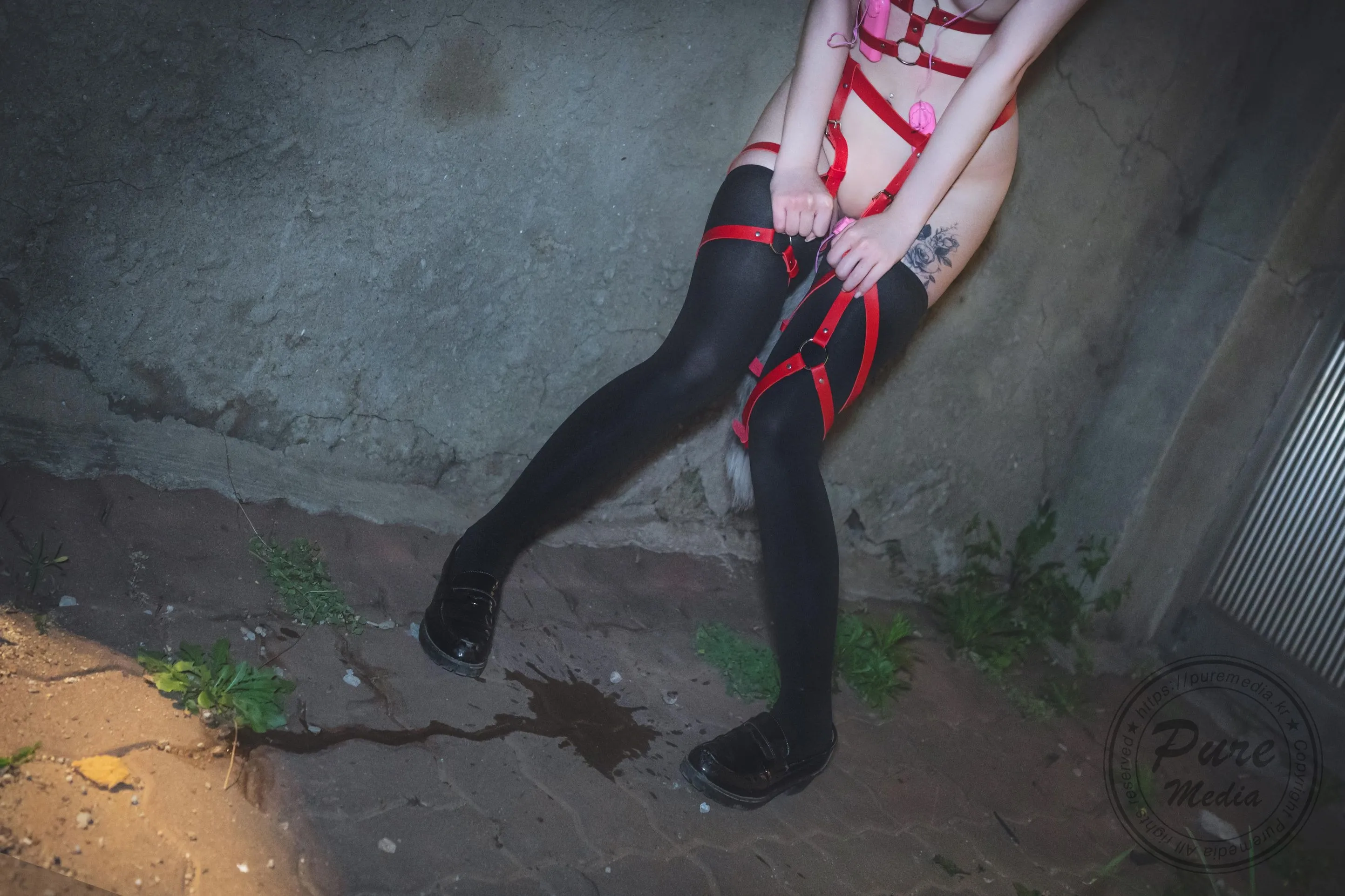 PuremediaVol205AramThedayofslave1108精华合集