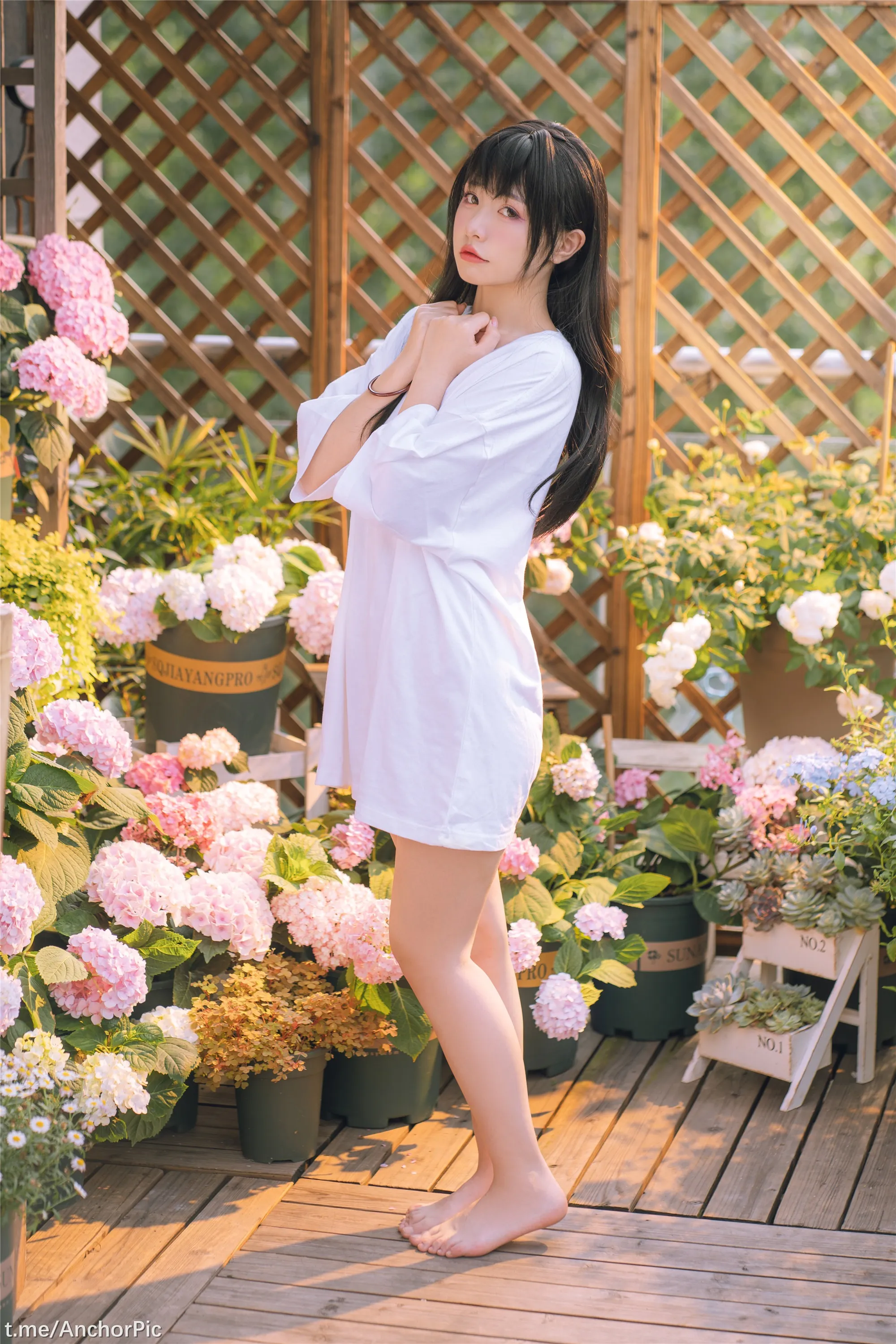 喵小吉午后时光76P0815精选