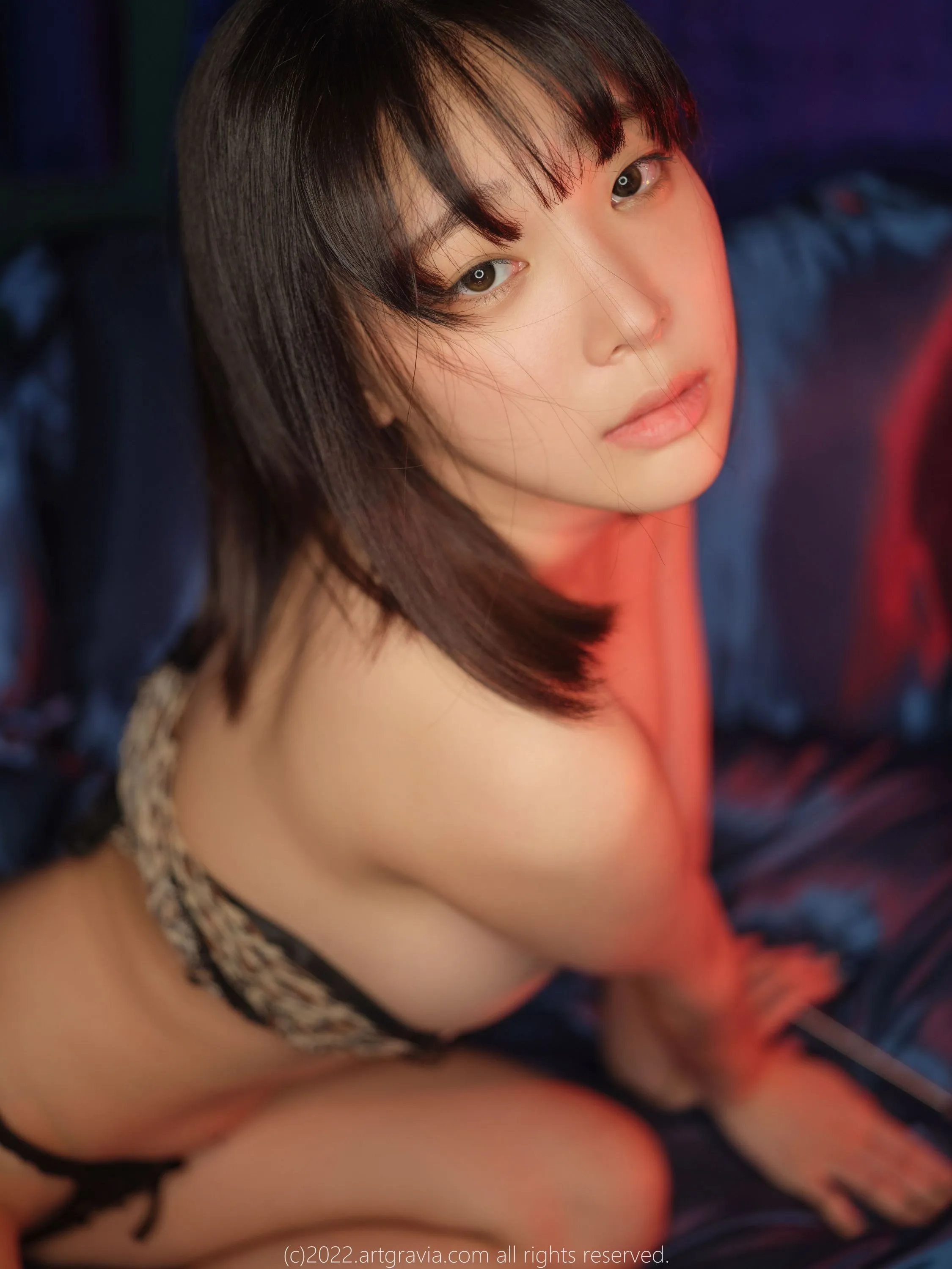 ARTGRAVIAVOL43494P219MB0823独家发布