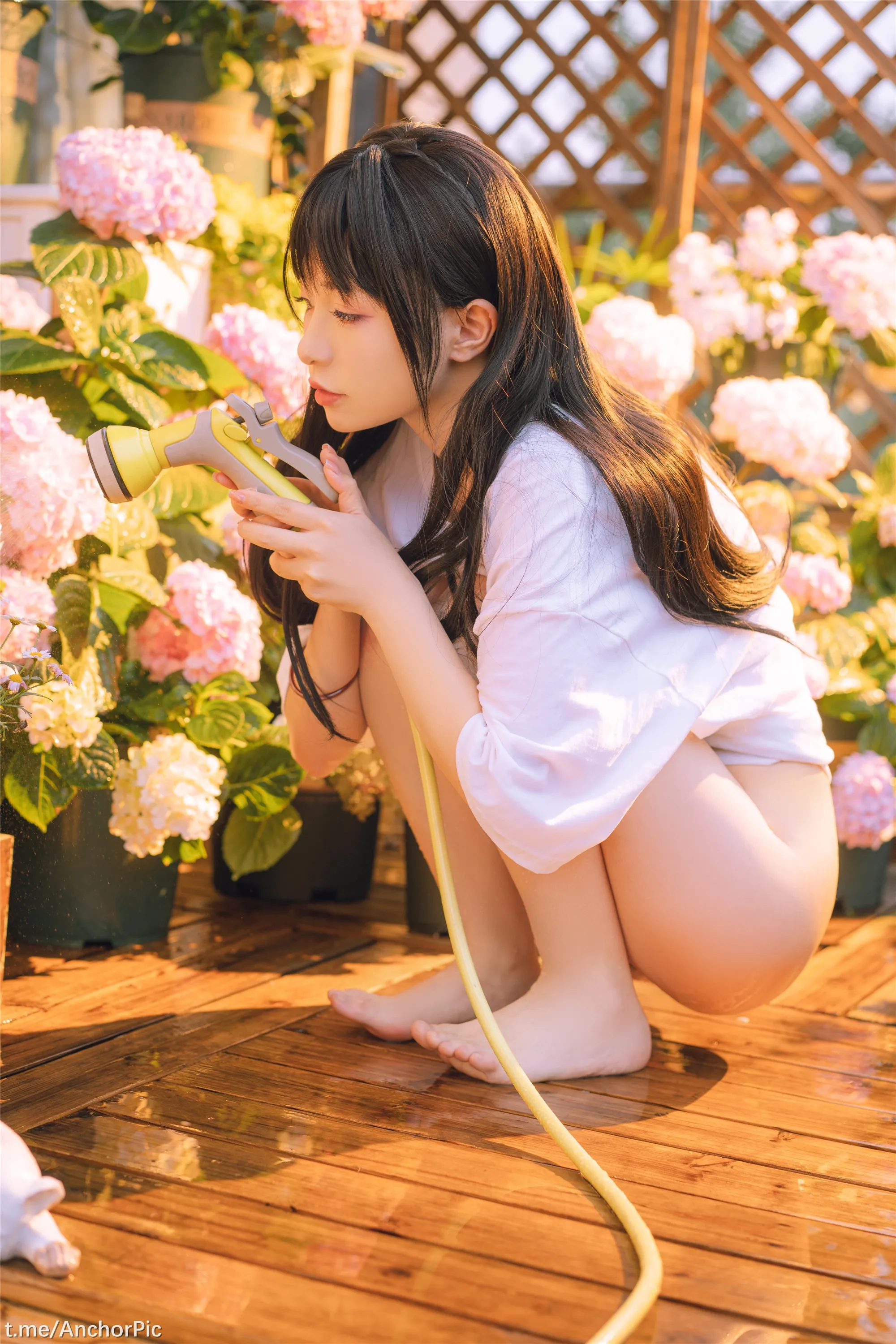 喵小吉午后时光76P0815精选