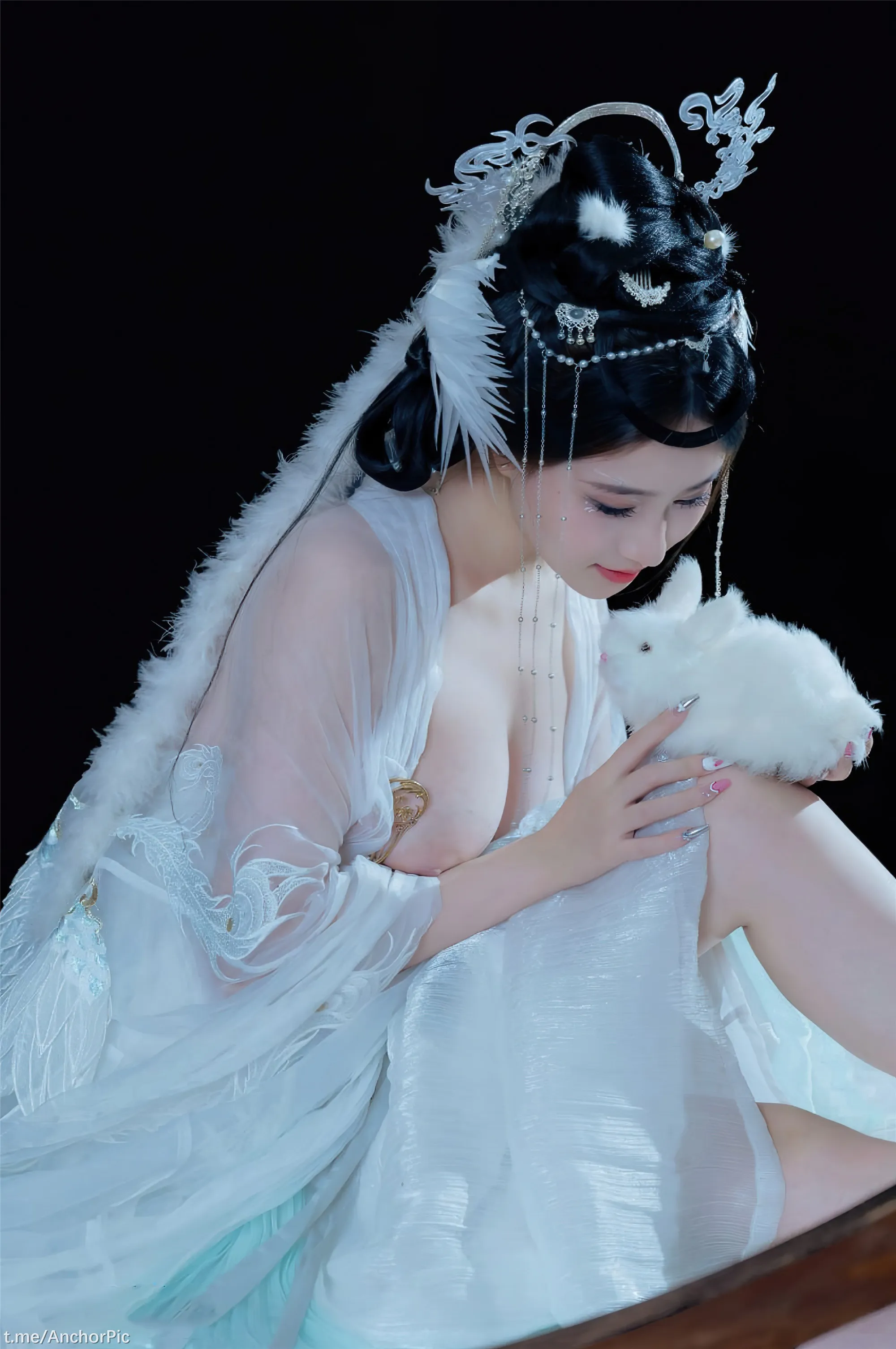 年年嫦娥仙子49P11214K图集
