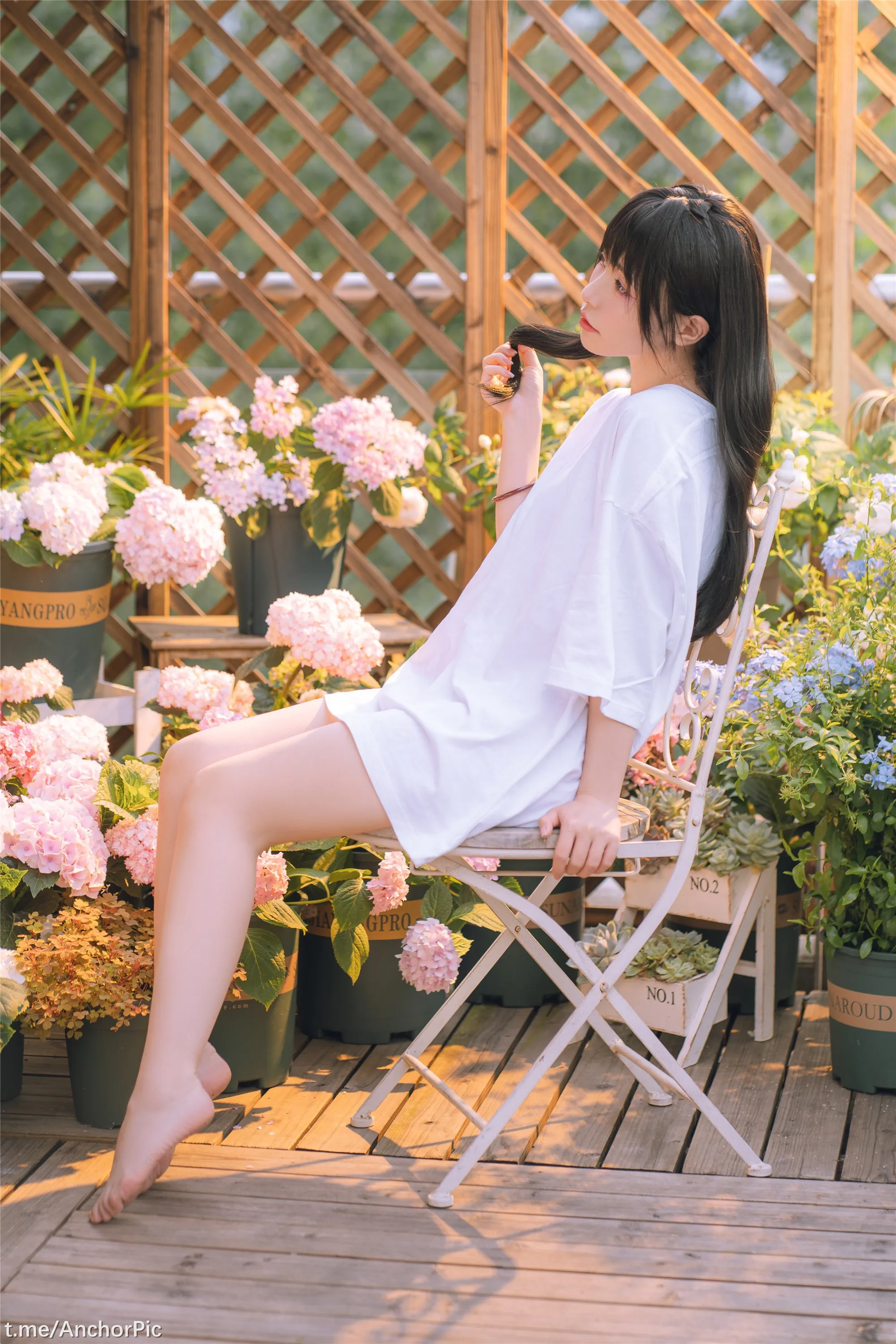 喵小吉午后时光76P0815精选