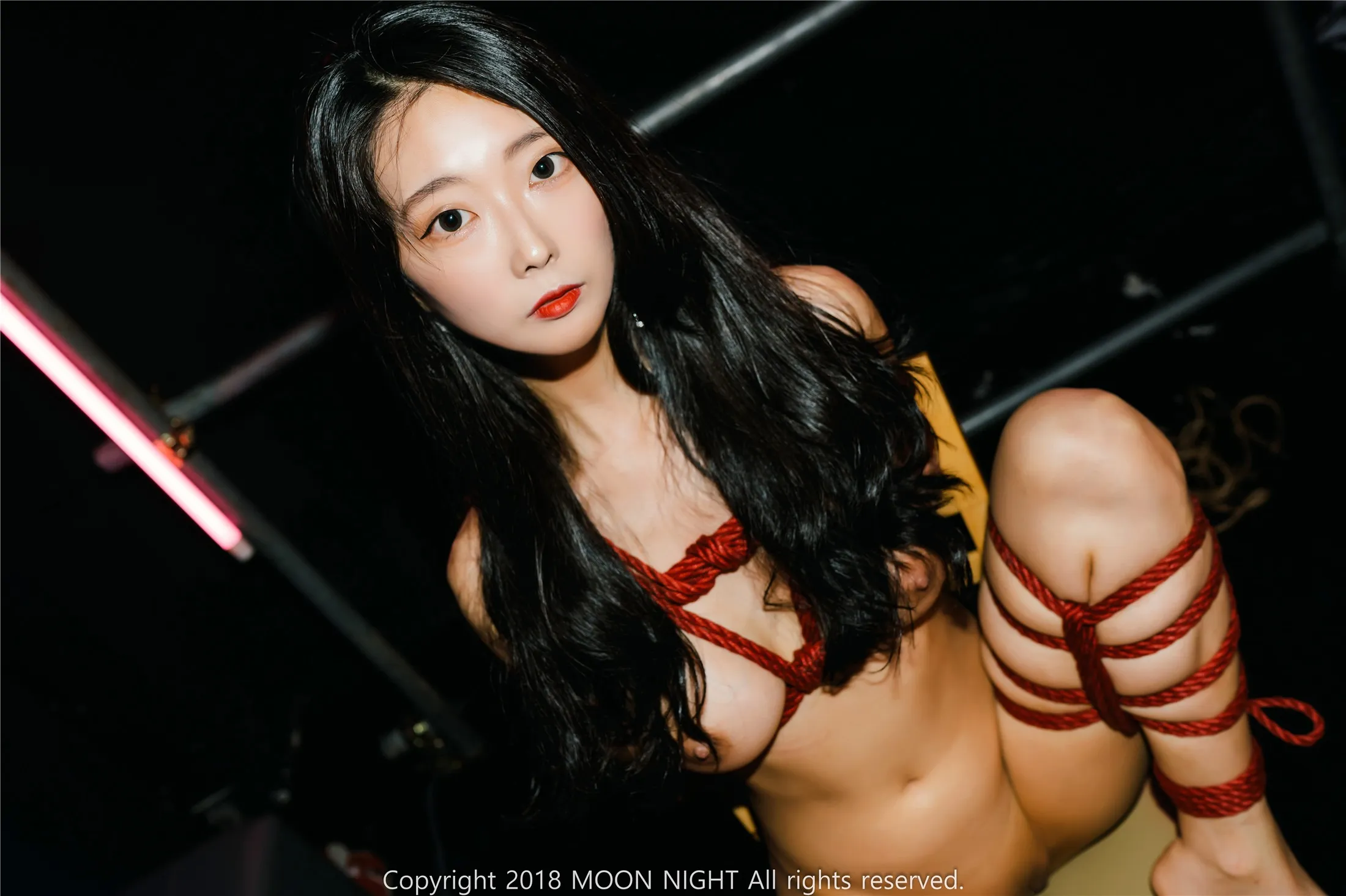MoonNightSnapMonaSMClubArtBondagewithMaster87P0620全集