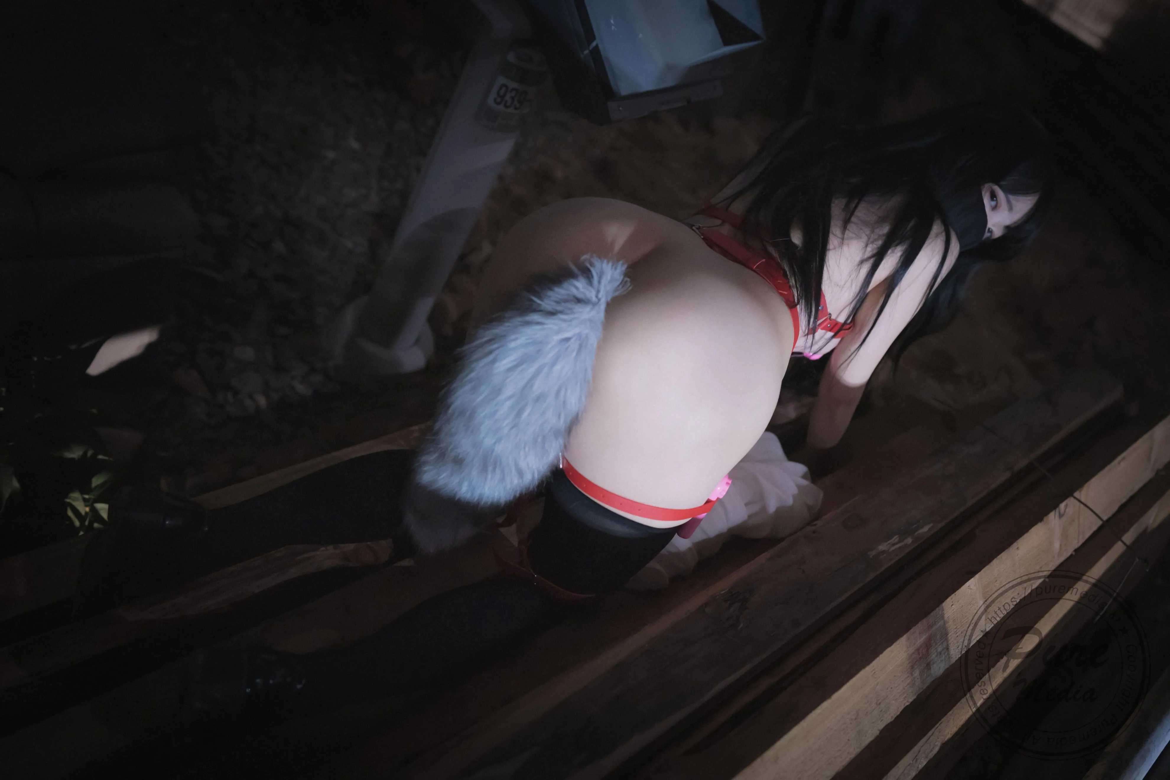 PuremediaVol205AramThedayofslave1108精华合集
