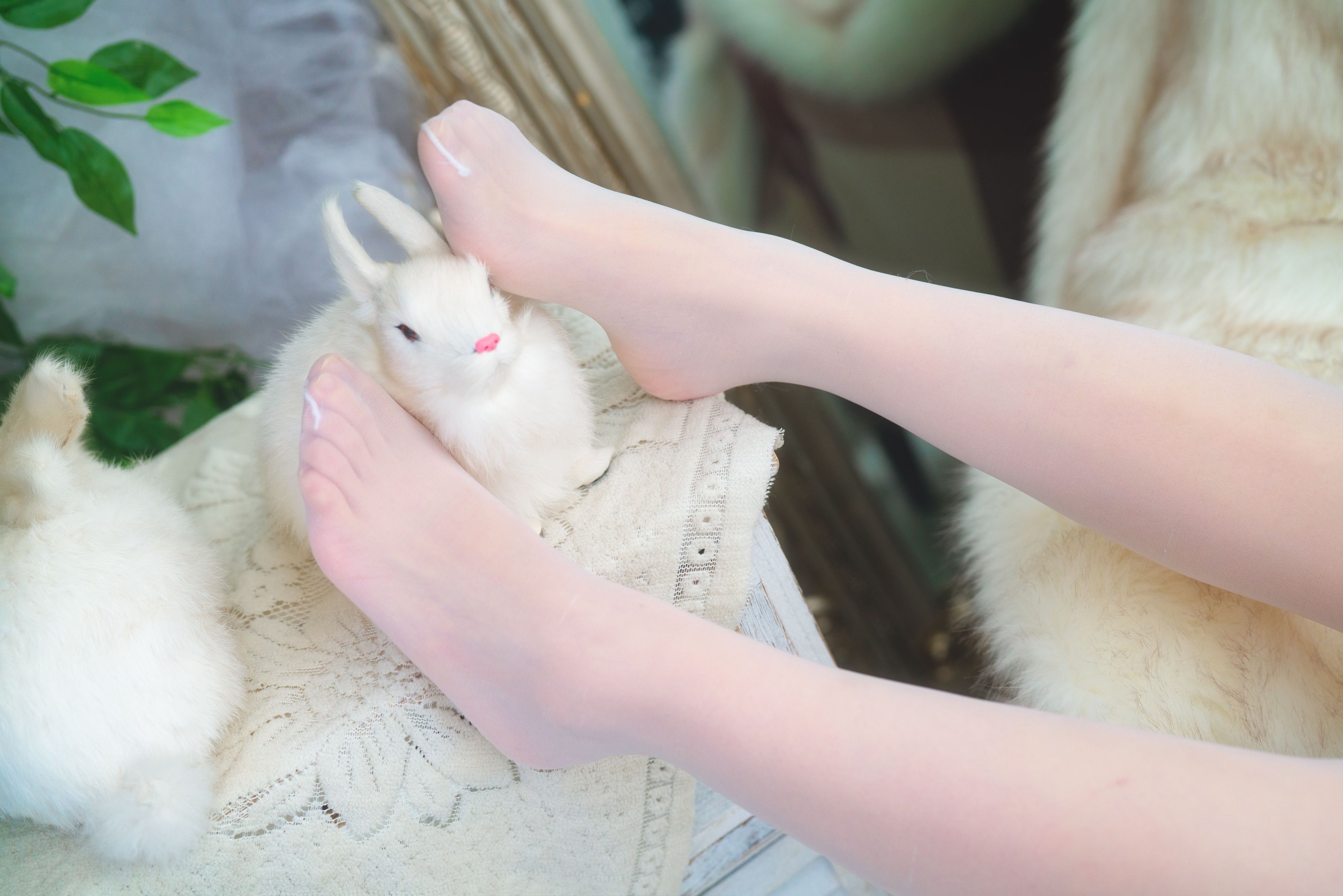 杪夏花与少女写真大全