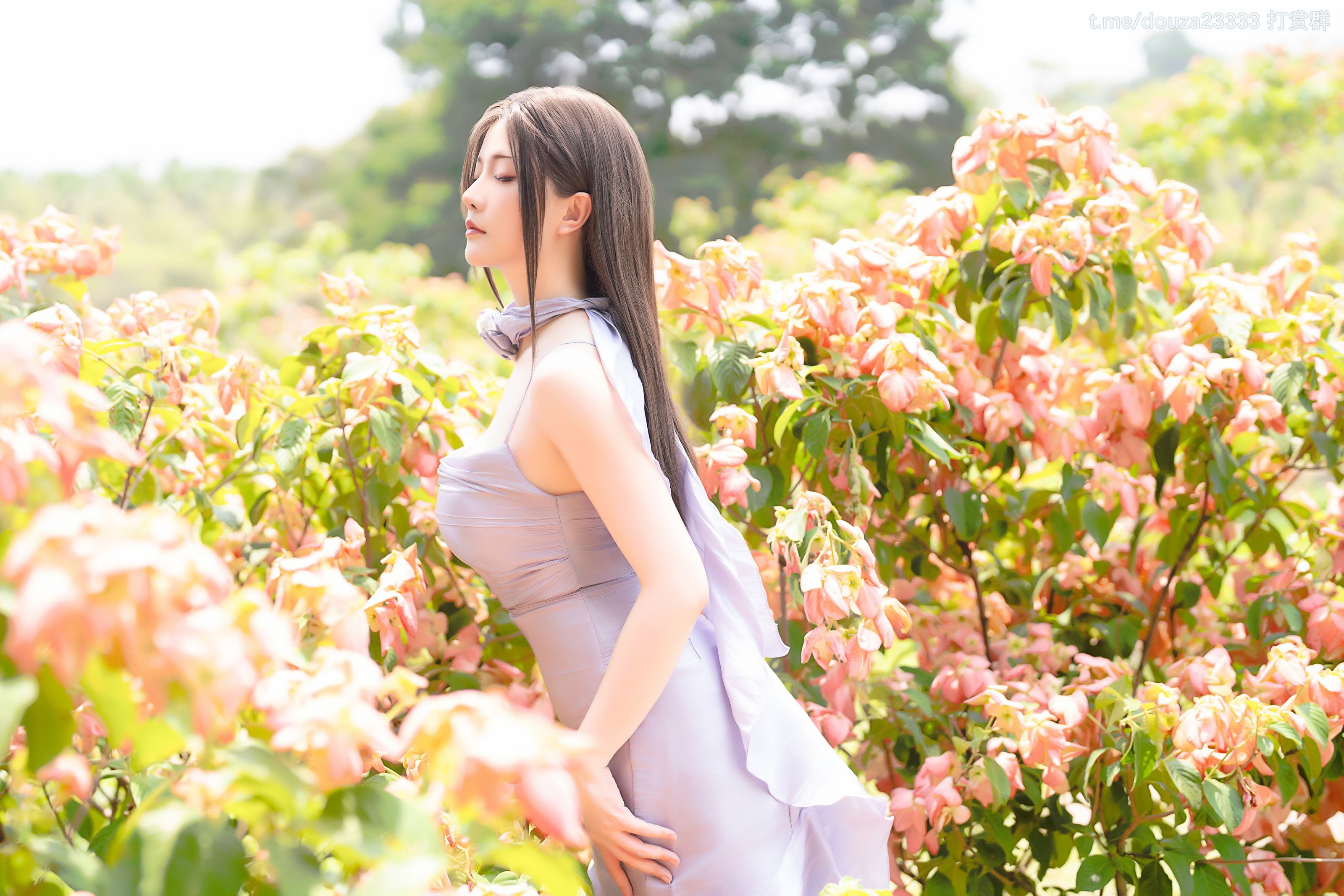 星之迟迟20244D15月25打赏群资源星之迟迟2024年4月D1套5月25日精华合集