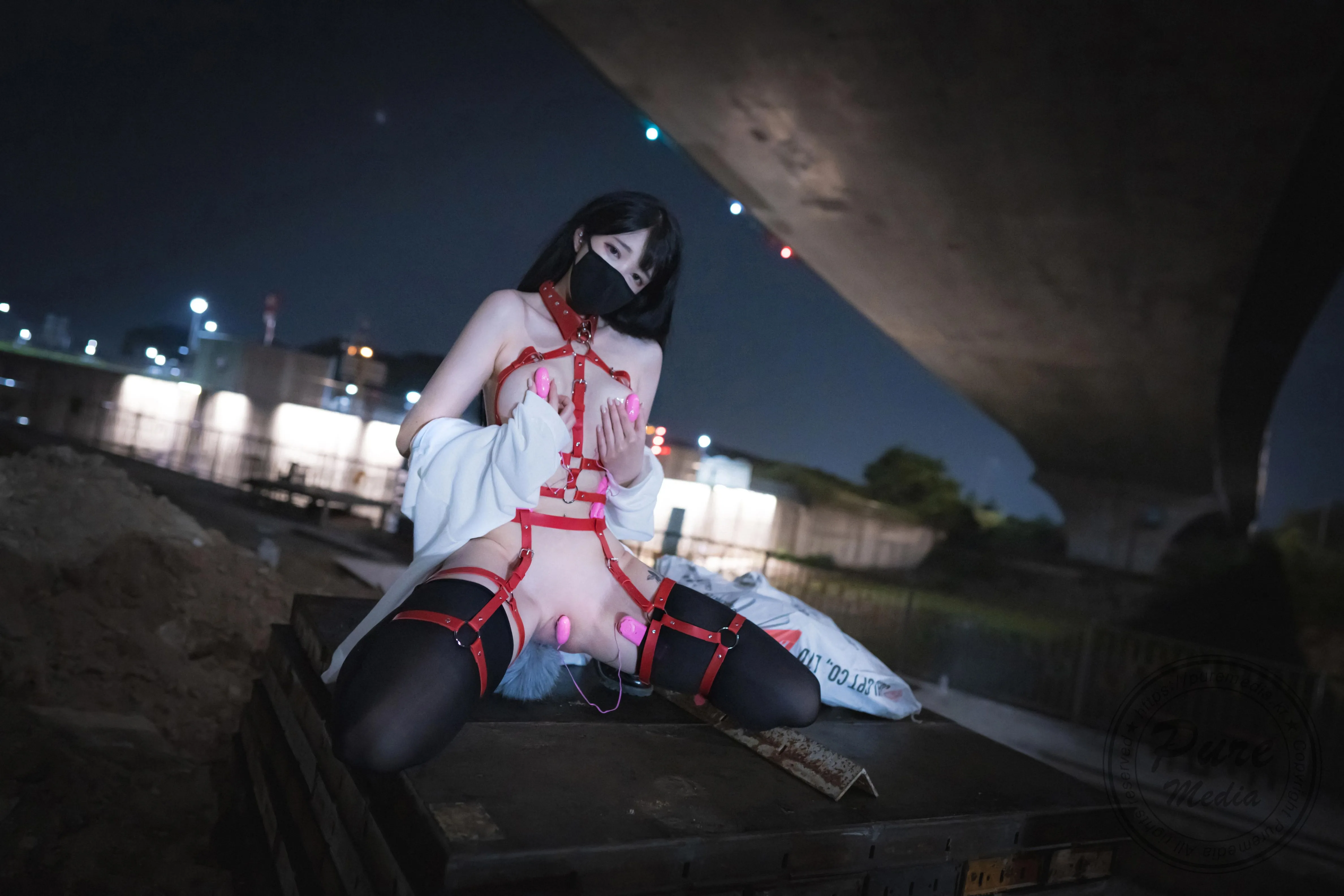 PuremediaVol205AramThedayofslave1108精华合集