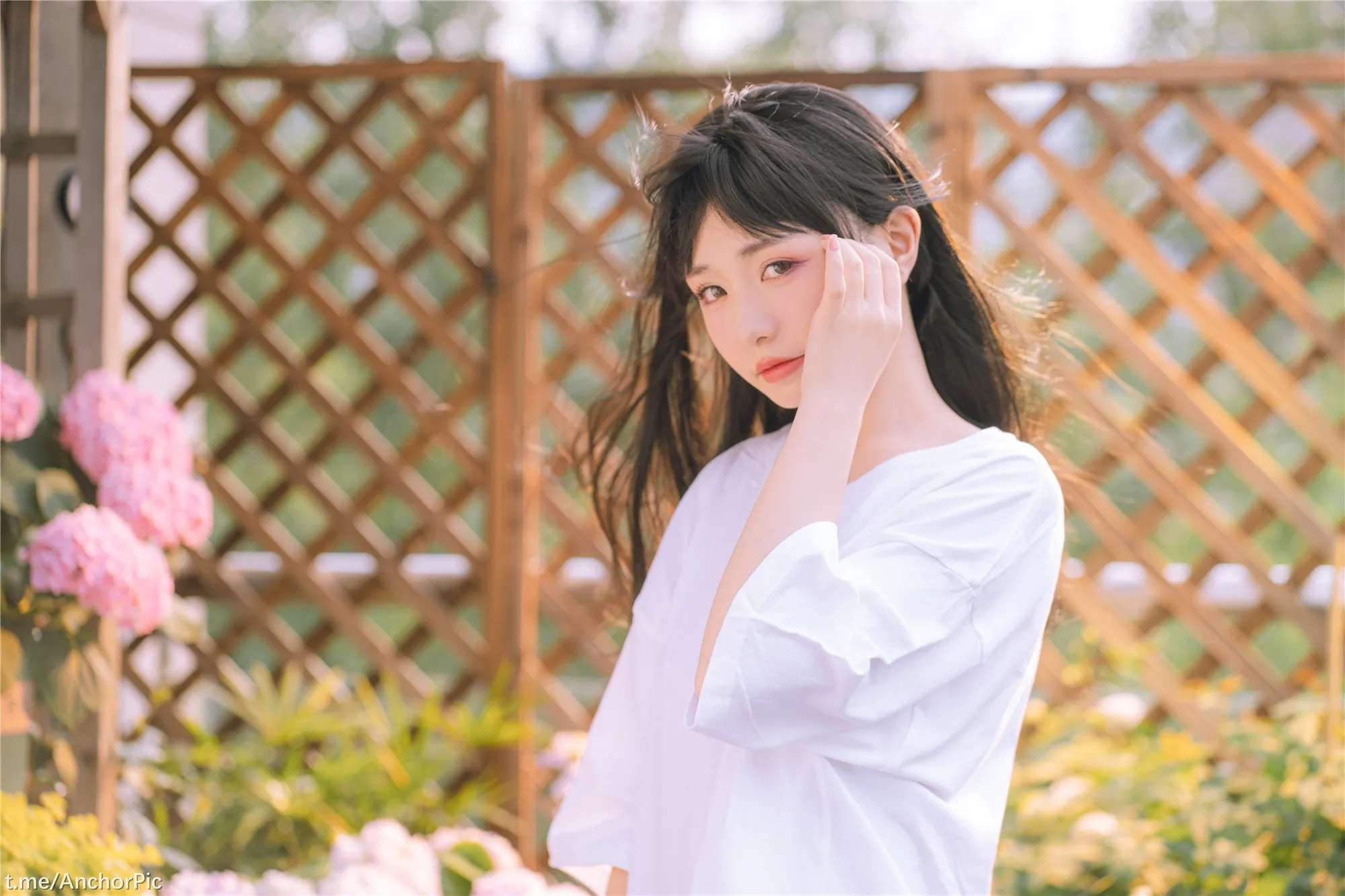 喵小吉午后时光76P0815精选