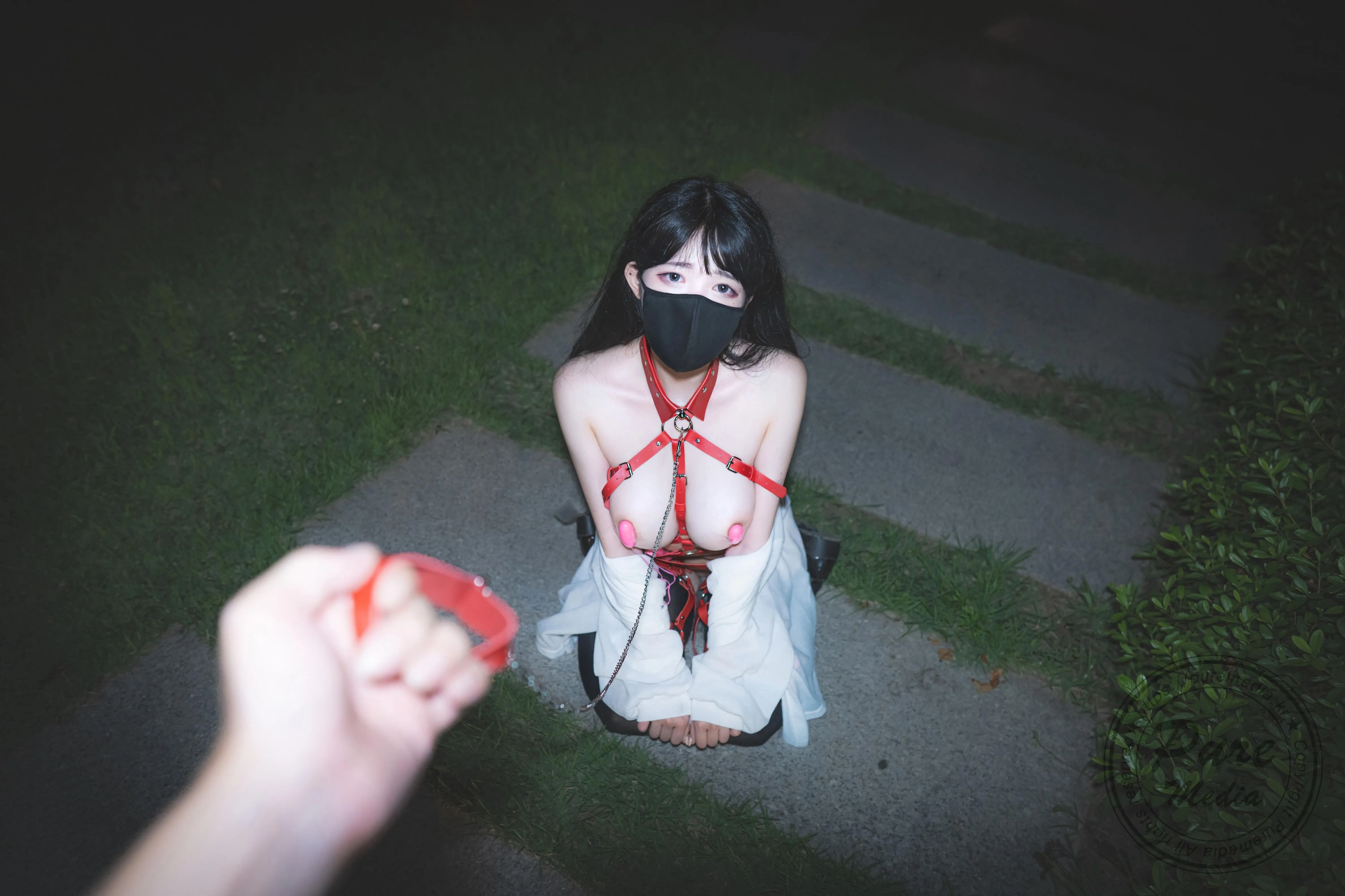 PuremediaVol205AramThedayofslave1108精华合集