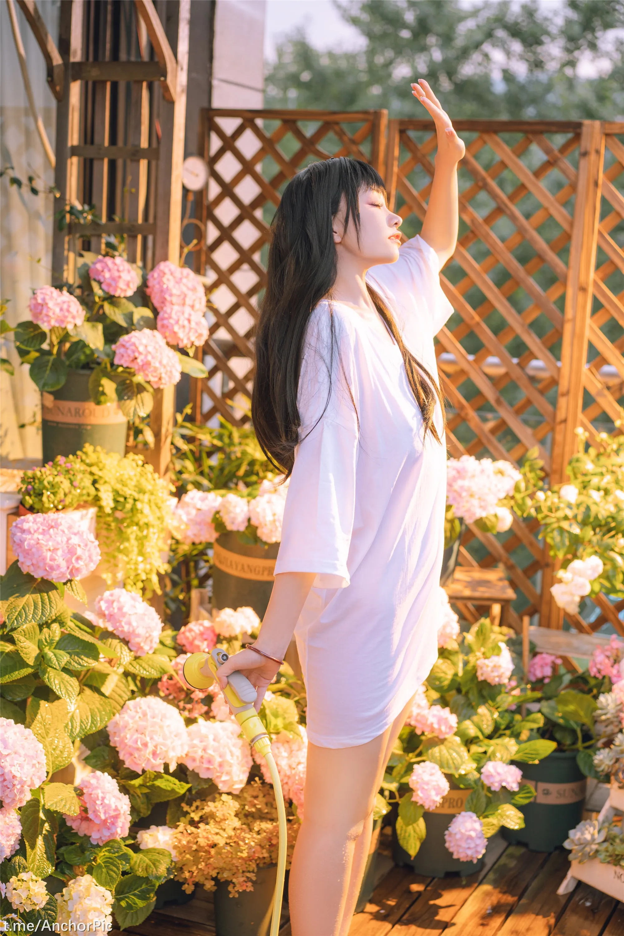 喵小吉午后时光76P0815精选
