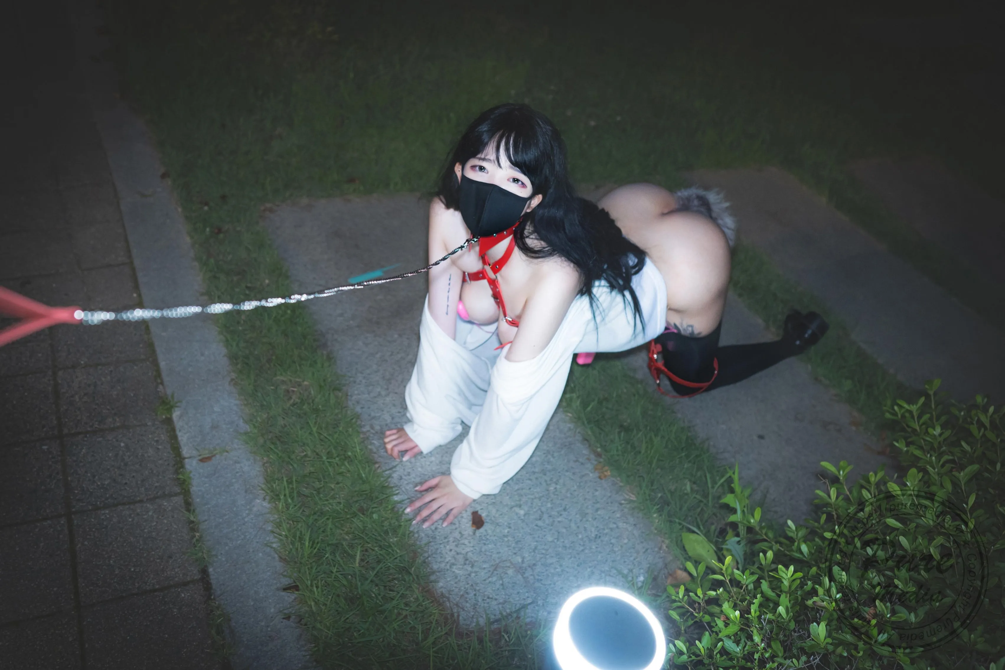 PuremediaVol205AramThedayofslave1108精华合集