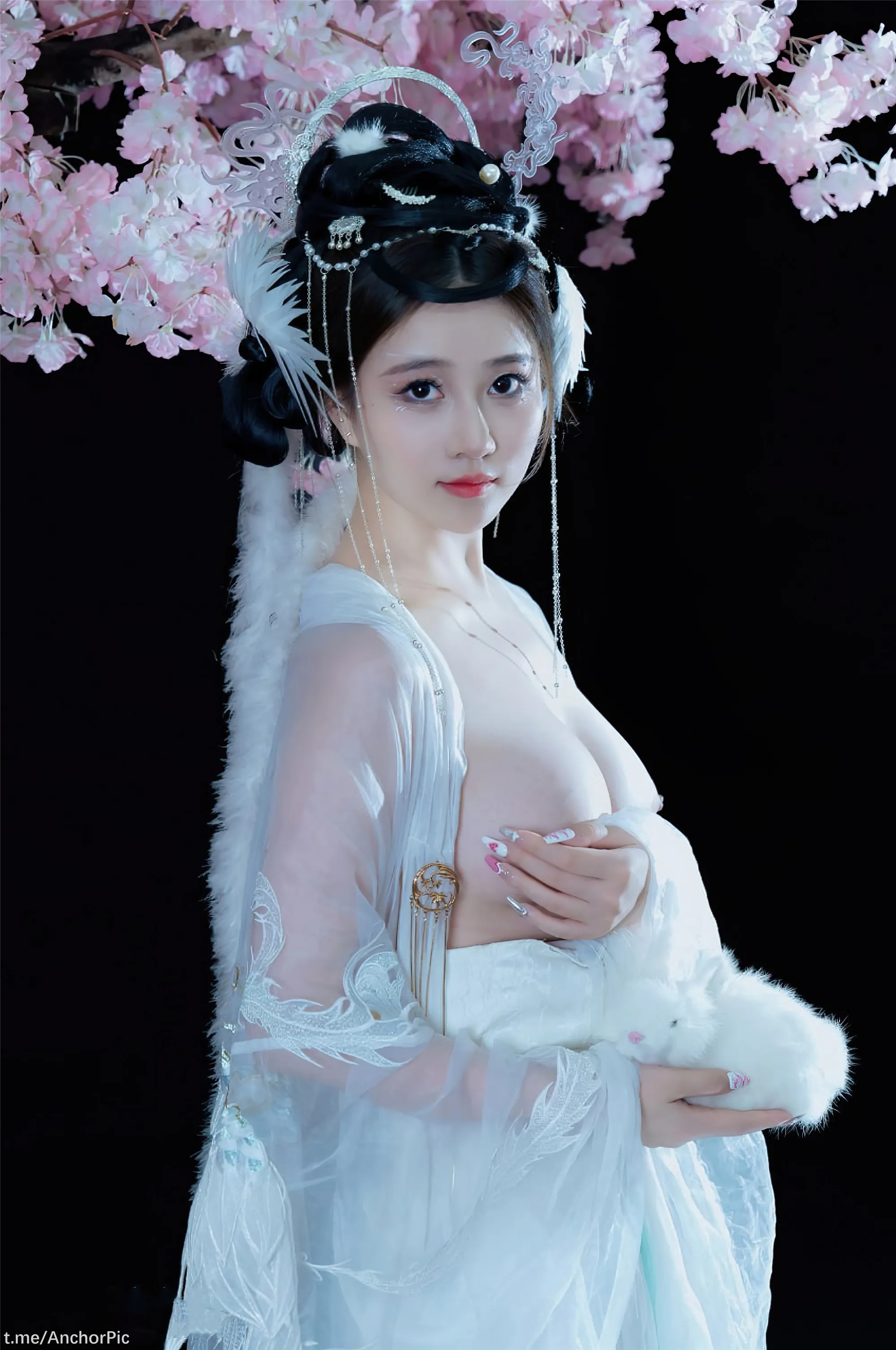 年年嫦娥仙子49P11214K图集