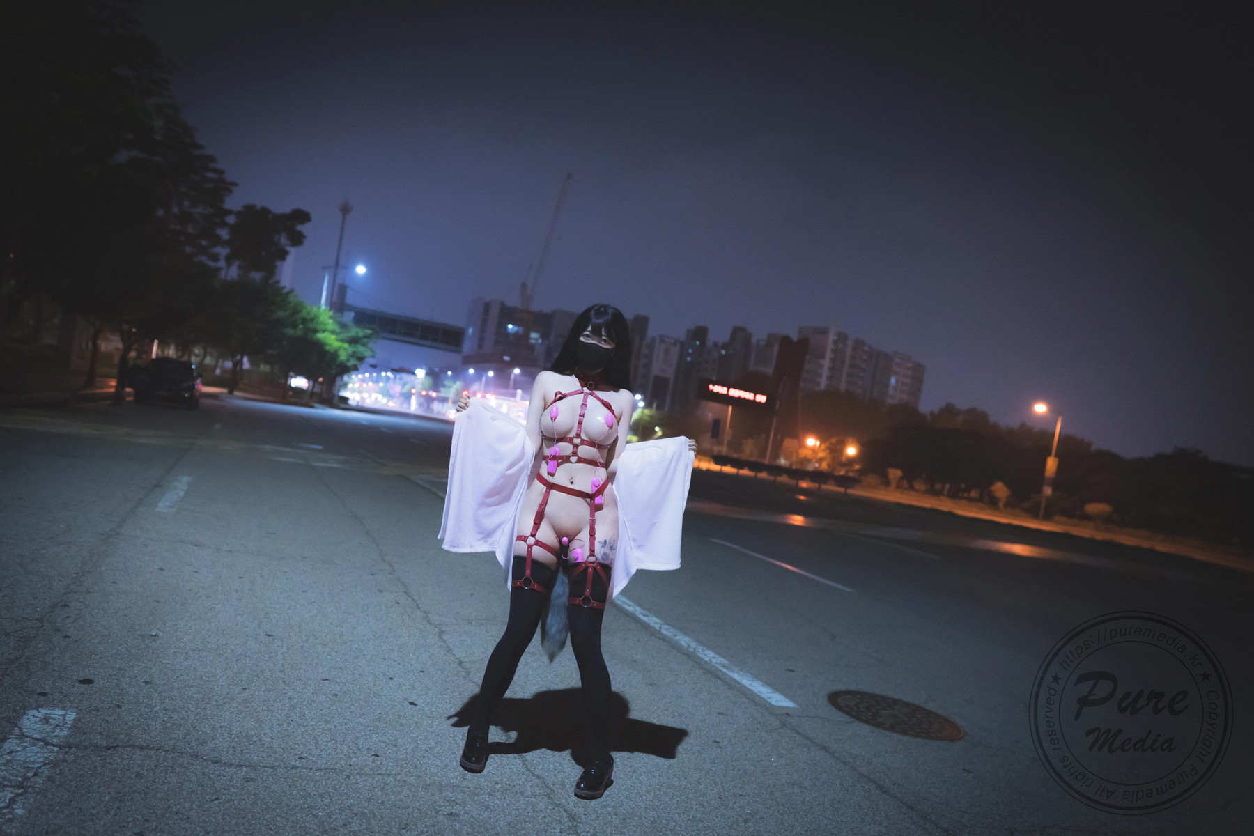 Aram??PUREMEDIAVol205TheDayofSlaveBonusSet01精选