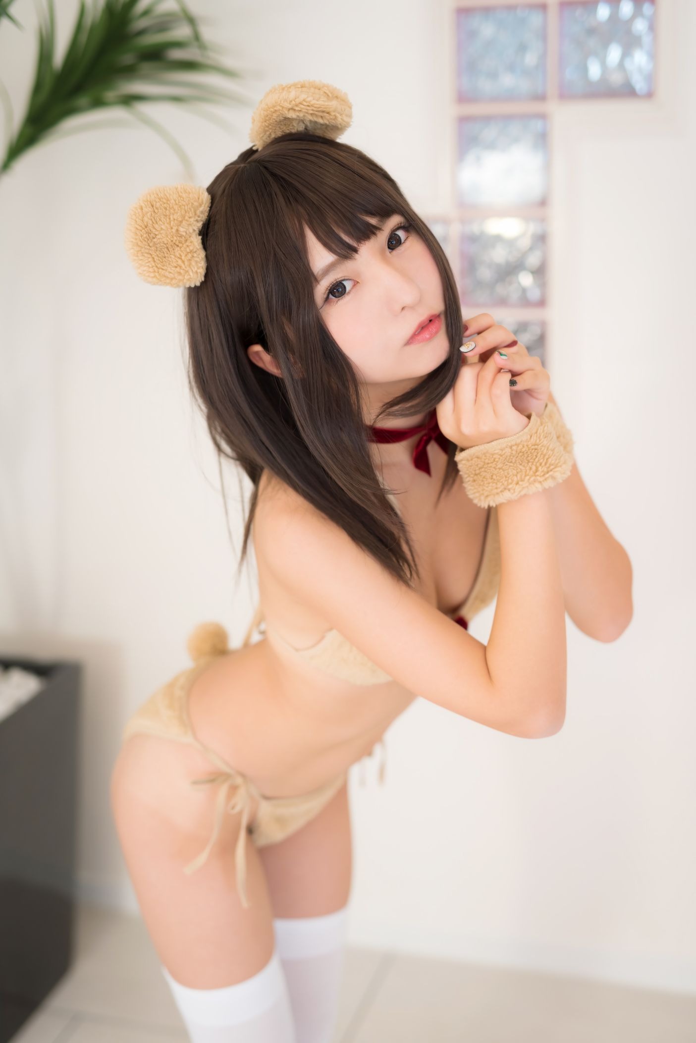 C95豆腐工場あんにゅい豆腐MamefuPet限时福利