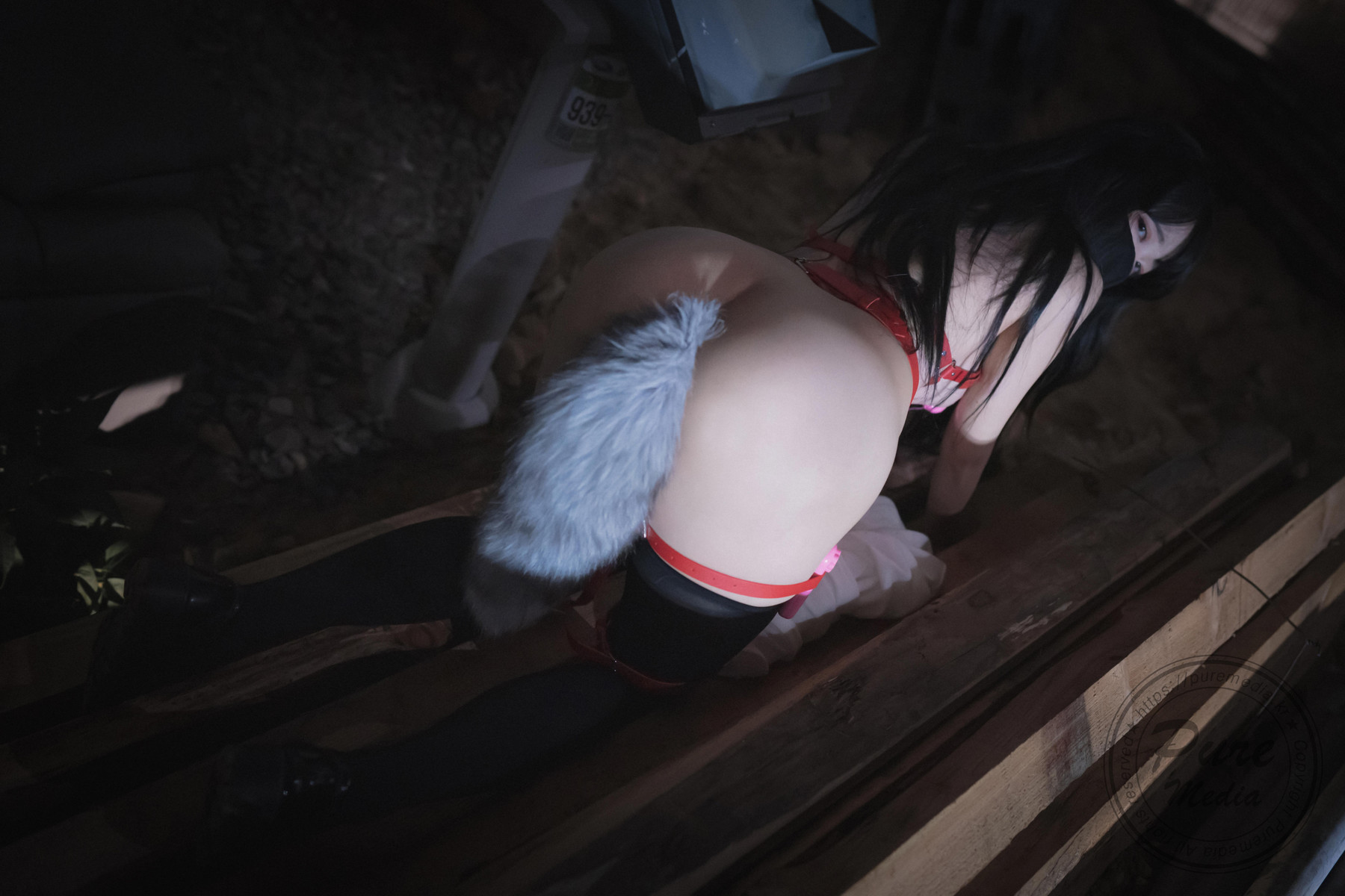 Aram??PUREMEDIAVol205TheDayofSlaveBonusSet01精选