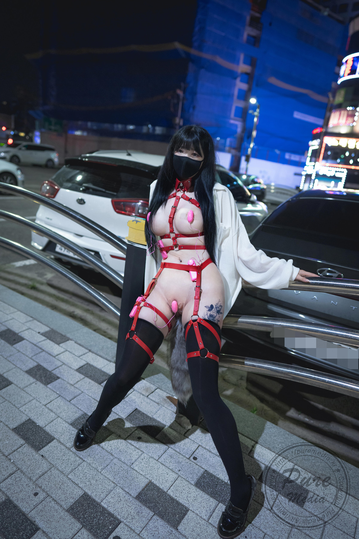 Aram??PUREMEDIAVol205TheDayofSlaveBonusSet01精选